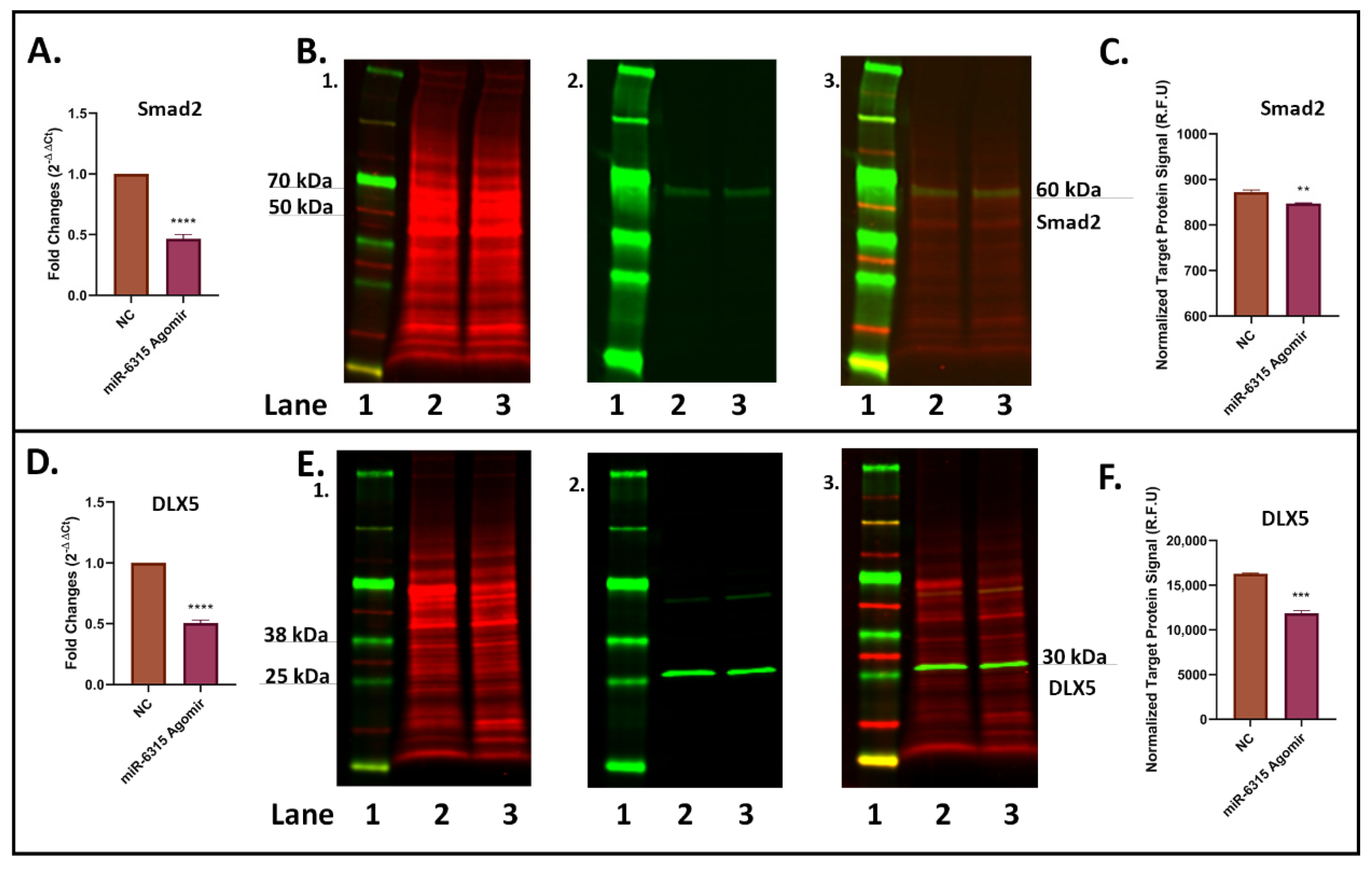 Biomedicines 09 01926 g005 Biomedicines 09 01926 g005