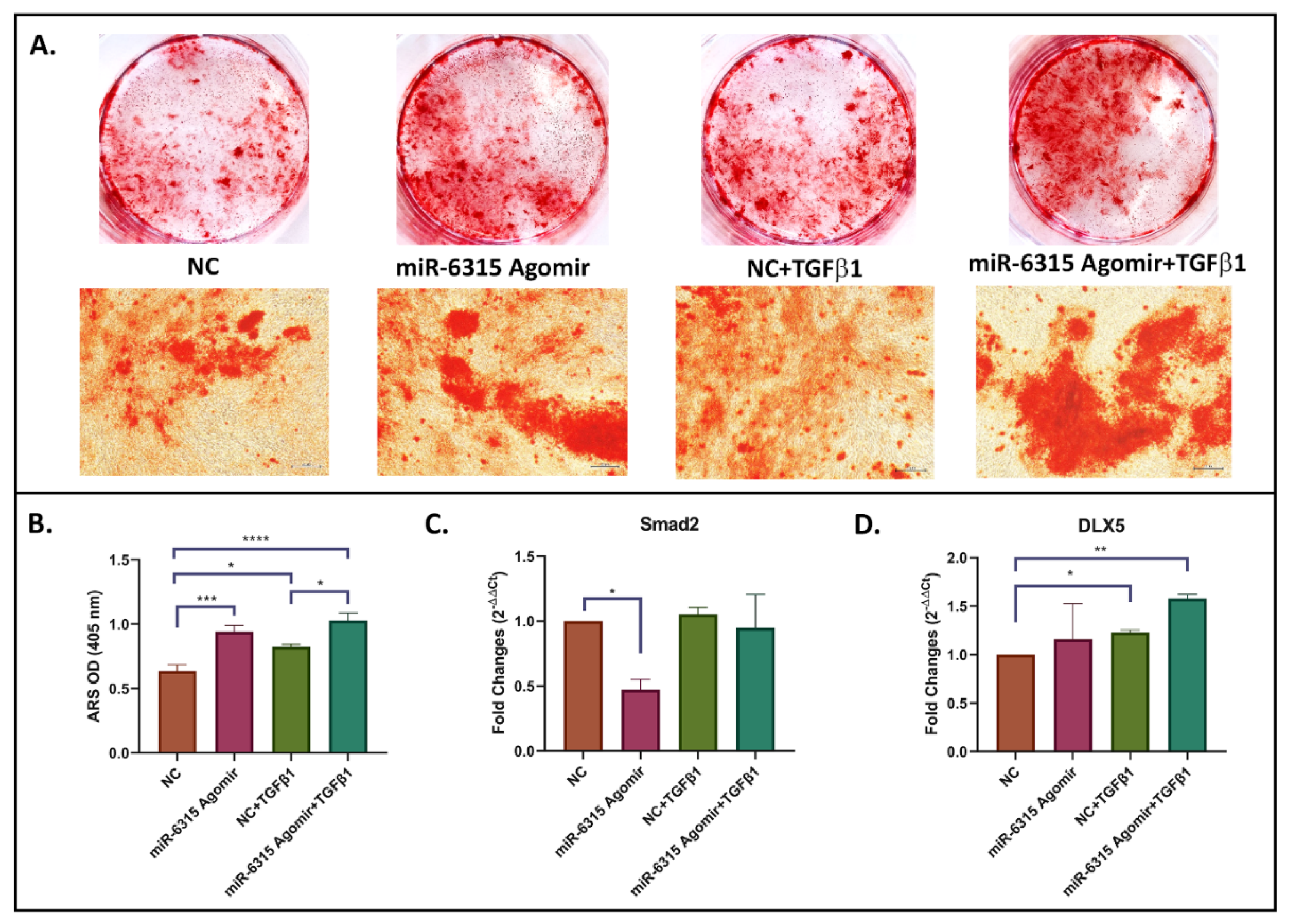 Biomedicines 09 01926 g006 Biomedicines 09 01926 g006