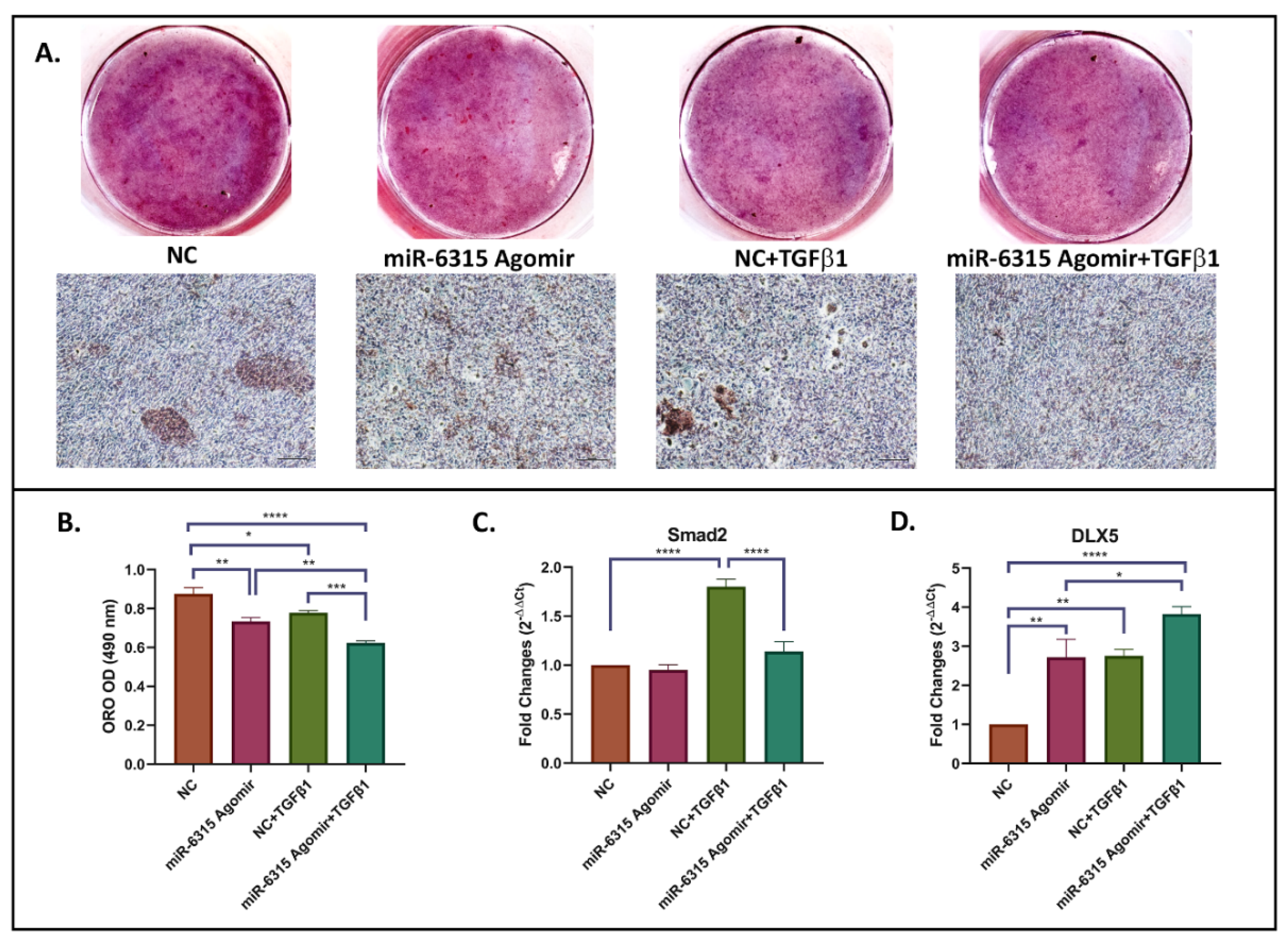 Biomedicines 09 01926 g007 Biomedicines 09 01926 g007