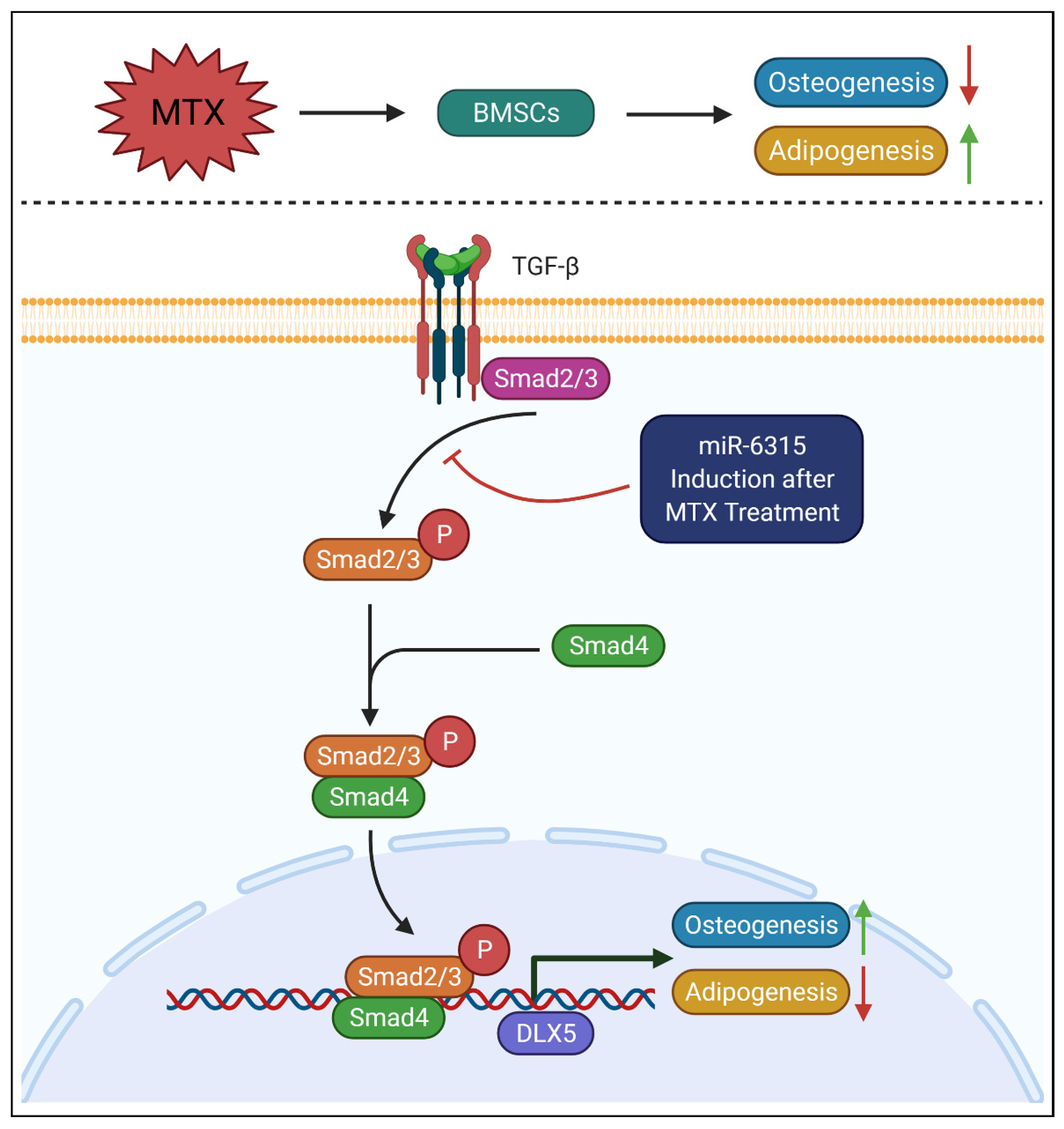 Biomedicines 09 01926 g008 Biomedicines 09 01926 g008