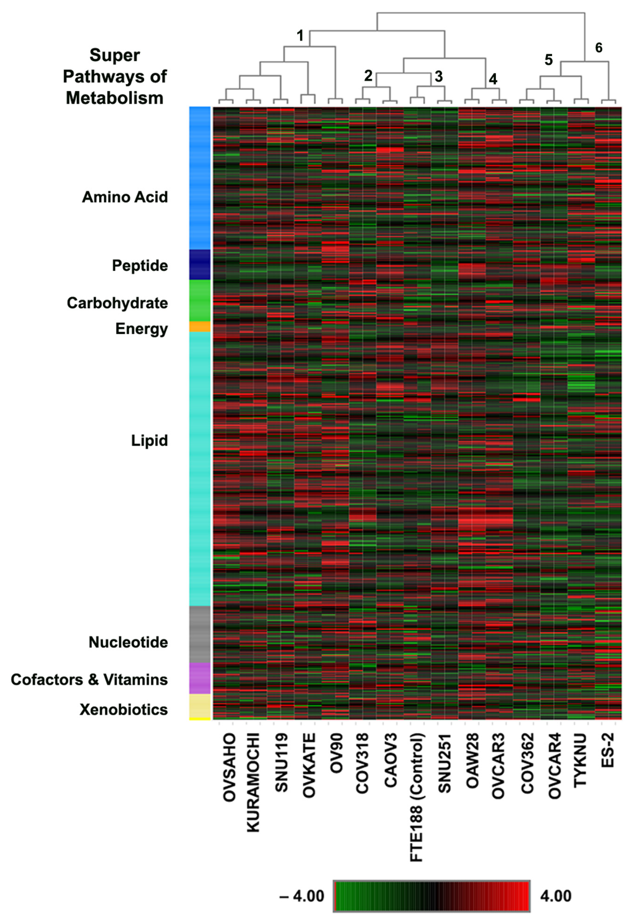Biomedicines 09 01927 g002 Biomedicines 09 01927 g002