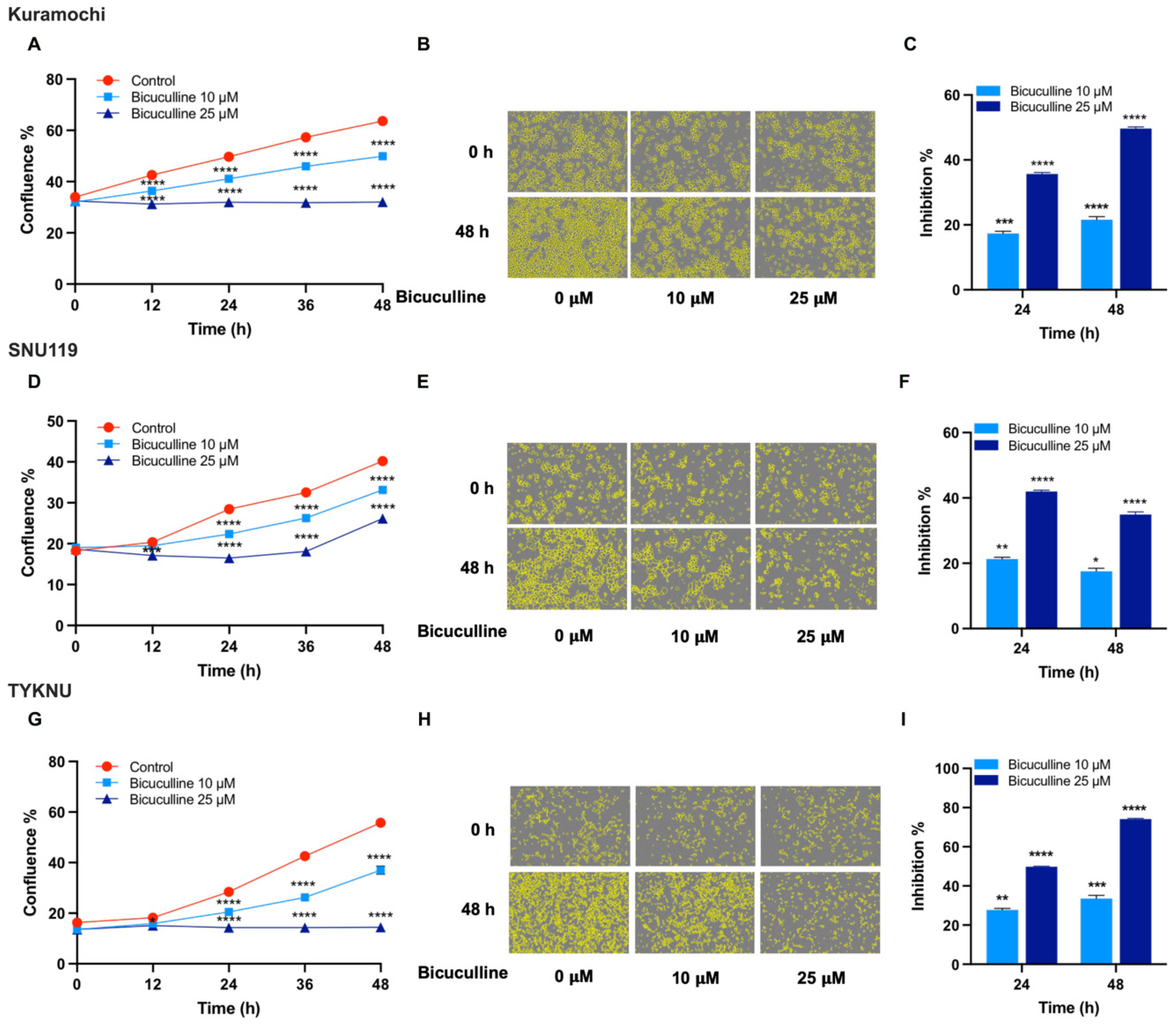 Biomedicines 09 01927 g007 Biomedicines 09 01927 g007