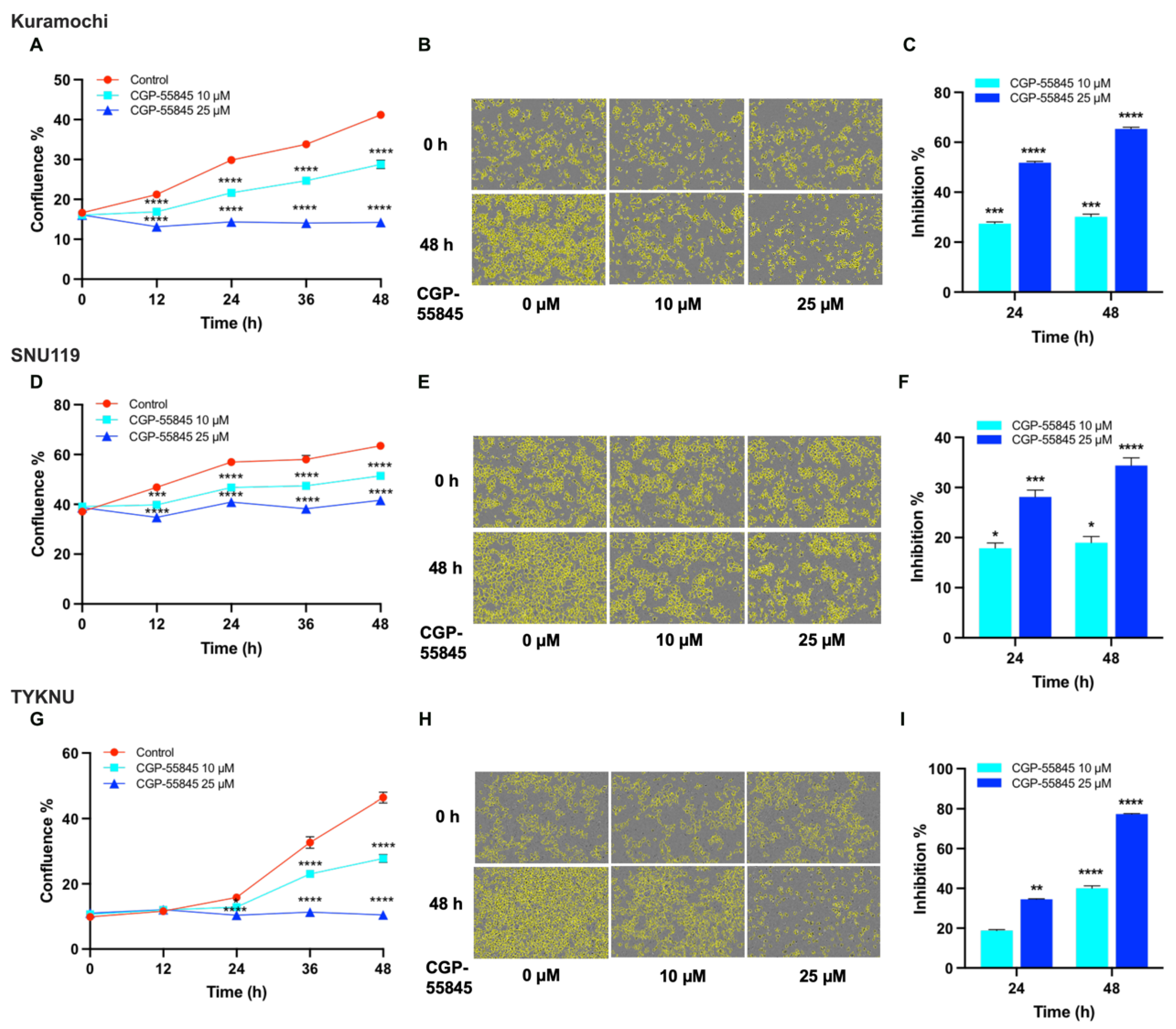 Biomedicines 09 01927 g008 Biomedicines 09 01927 g008