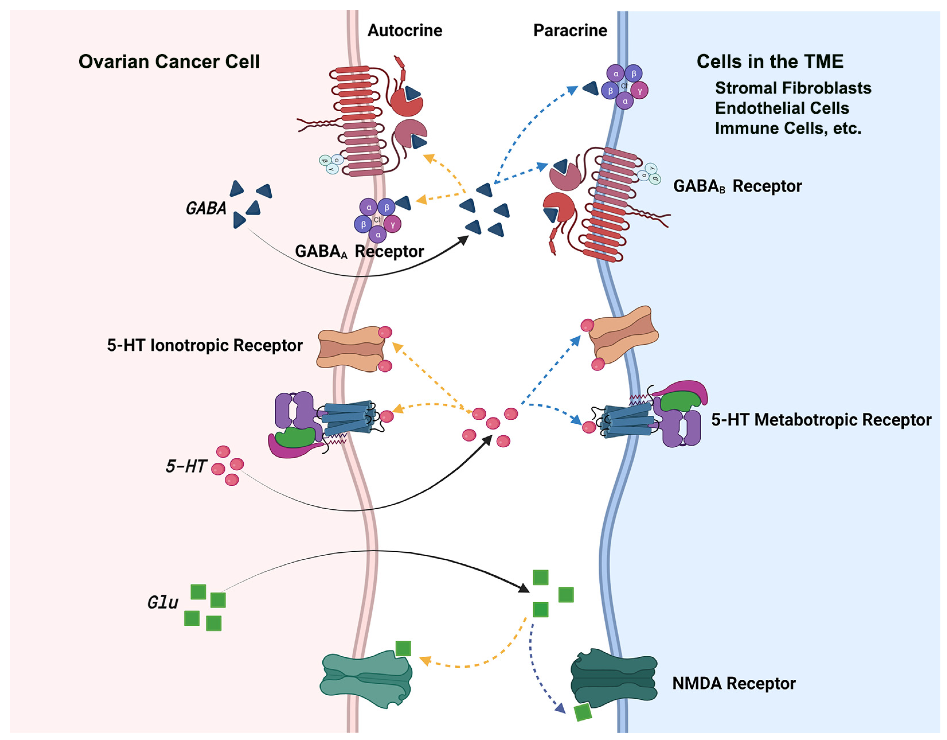Biomedicines 09 01927 g012 Biomedicines 09 01927 g012