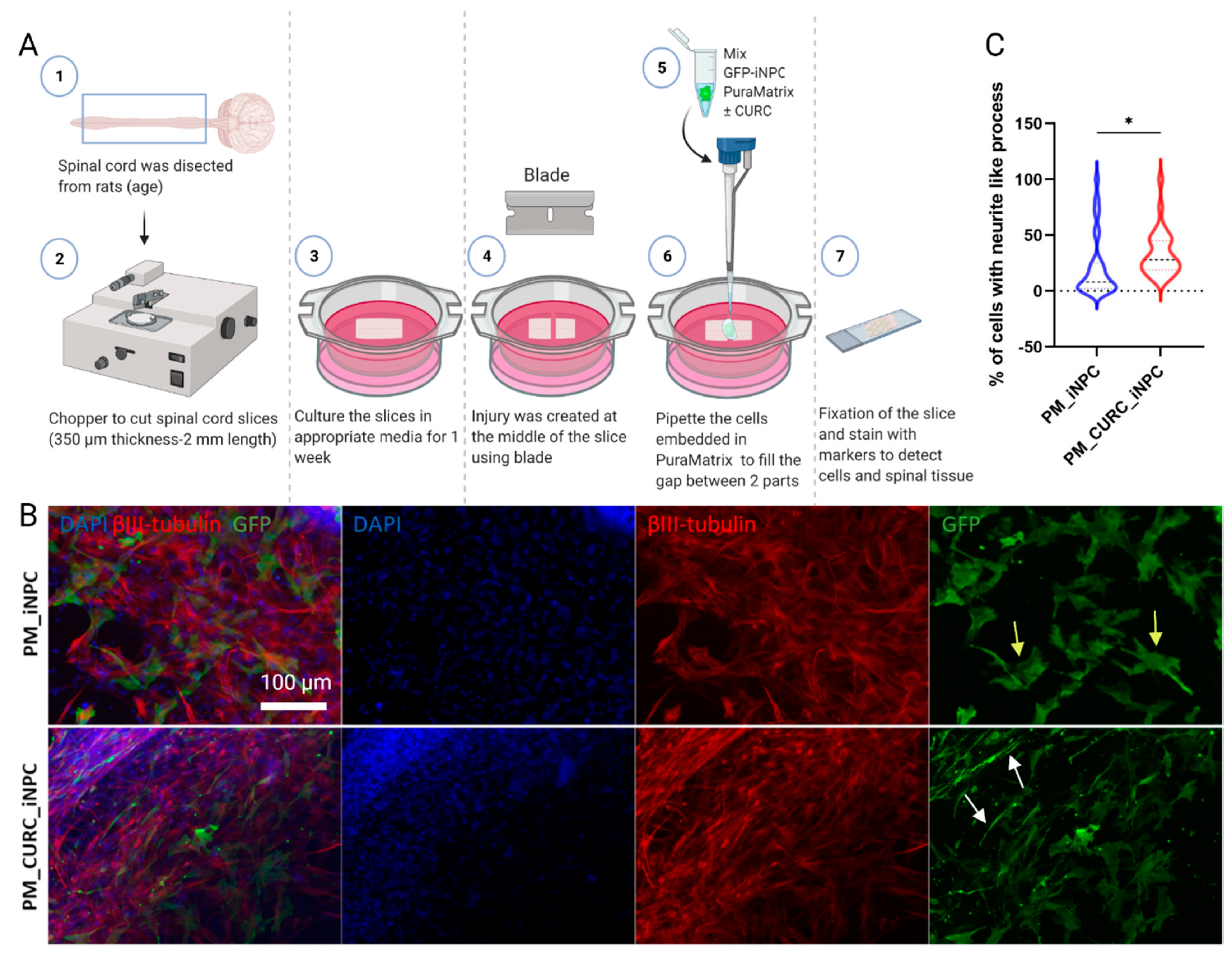 Biomedicines 09 01928 g003 Biomedicines 09 01928 g003