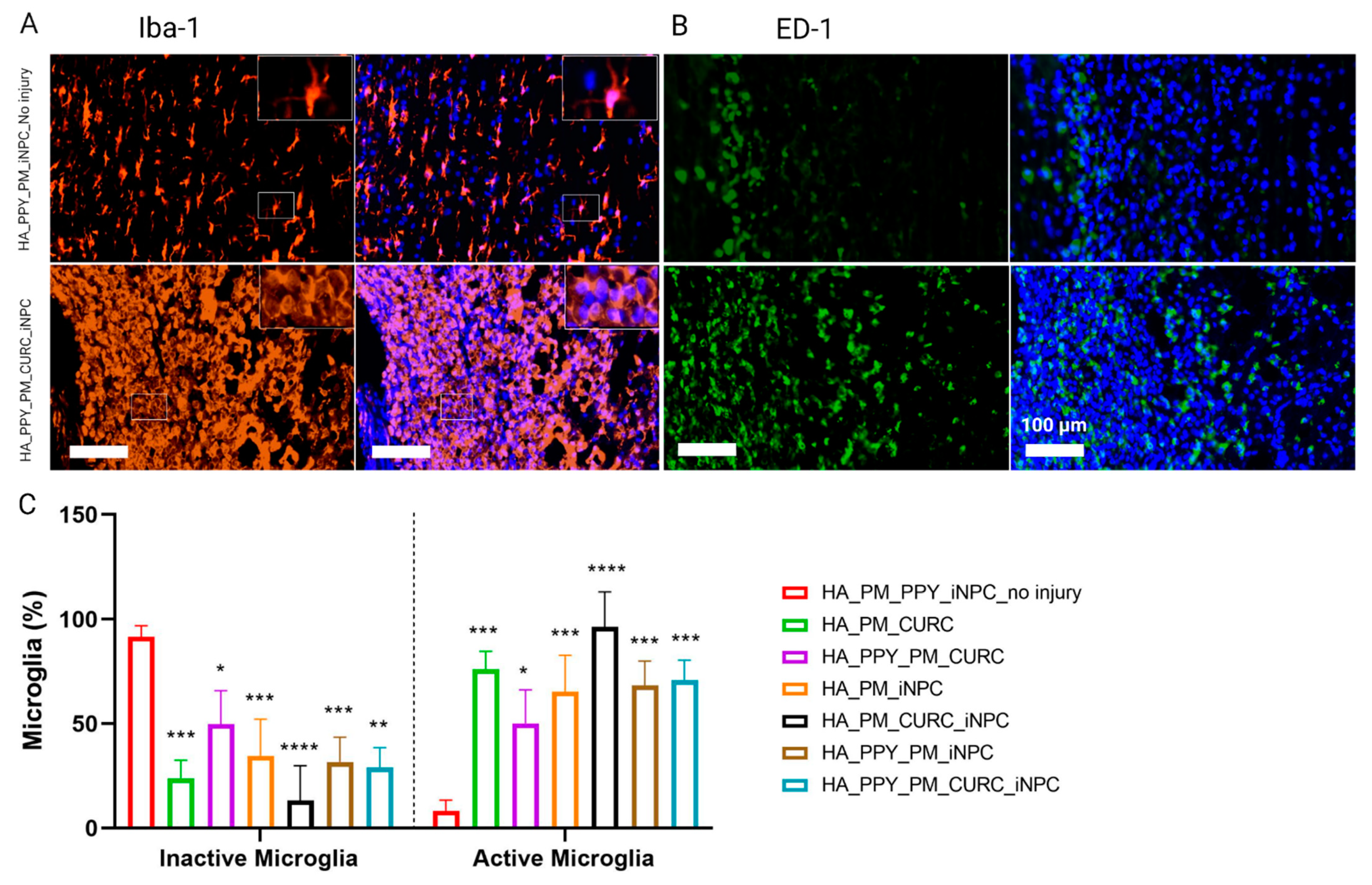 Biomedicines 09 01928 g008 Biomedicines 09 01928 g008