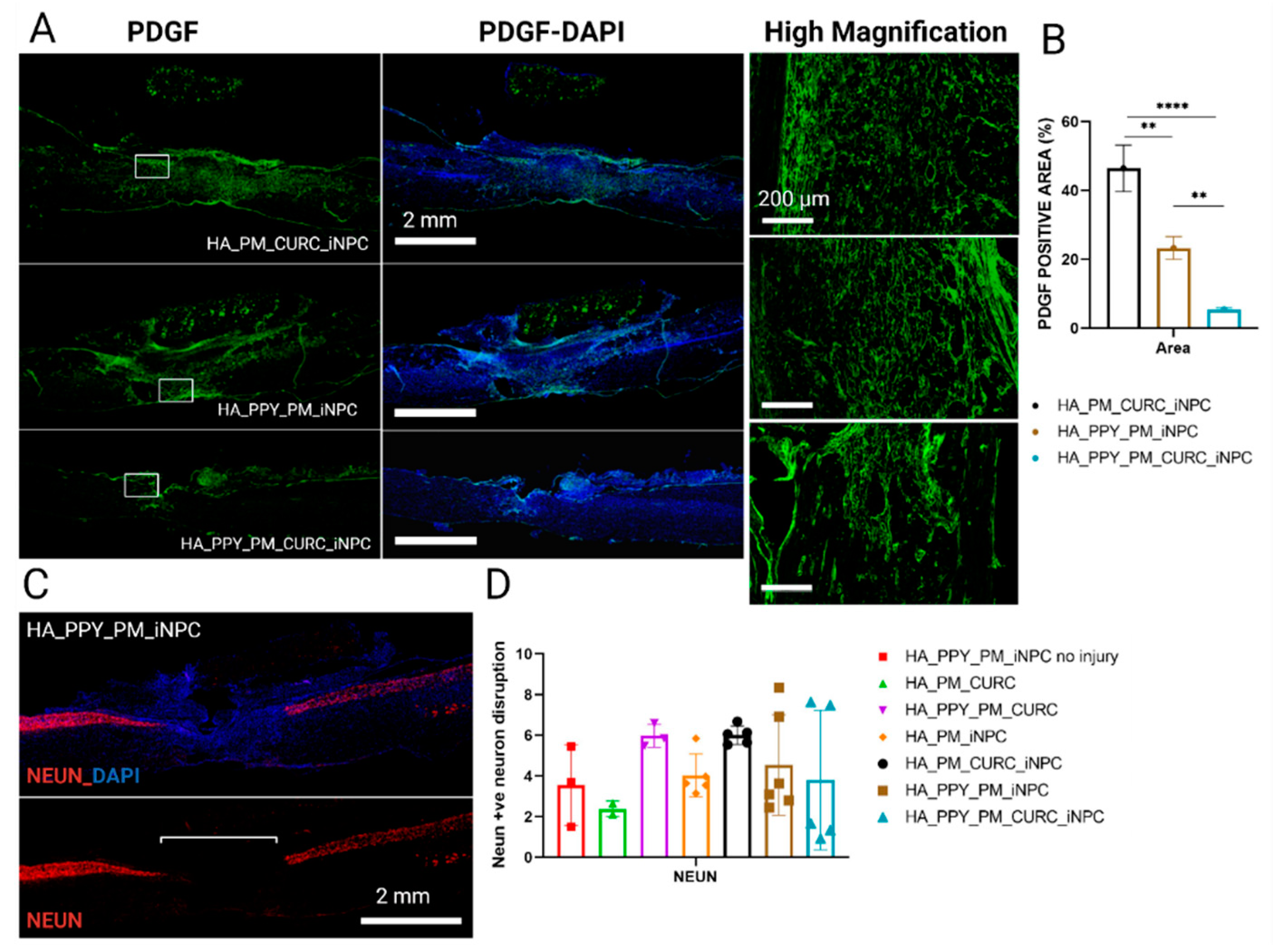Biomedicines 09 01928 g009 Biomedicines 09 01928 g009