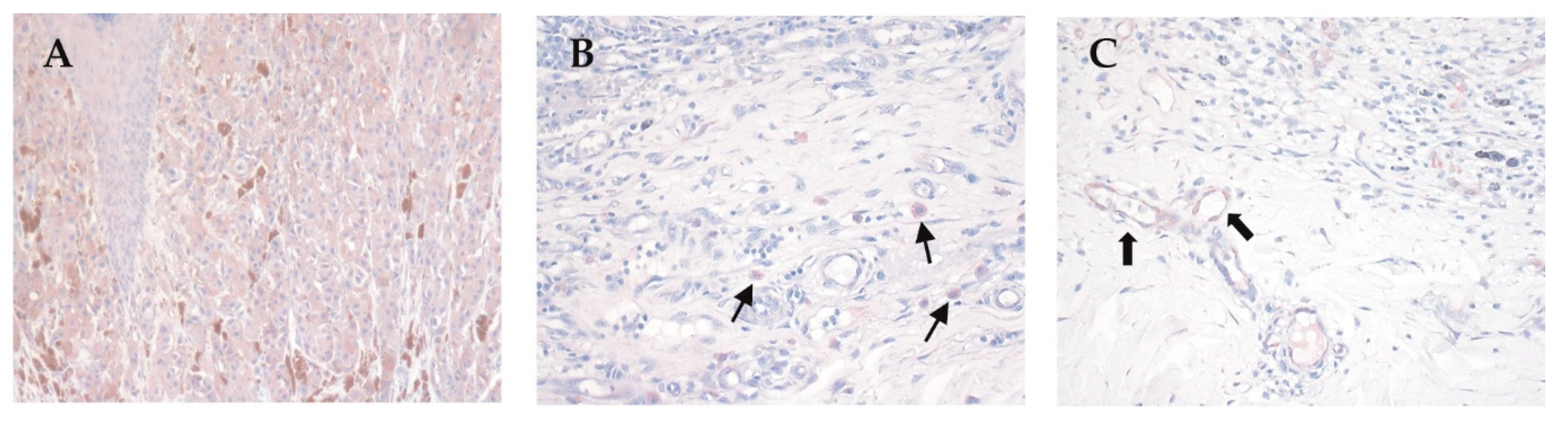 Biomedicines 09 01930 g005