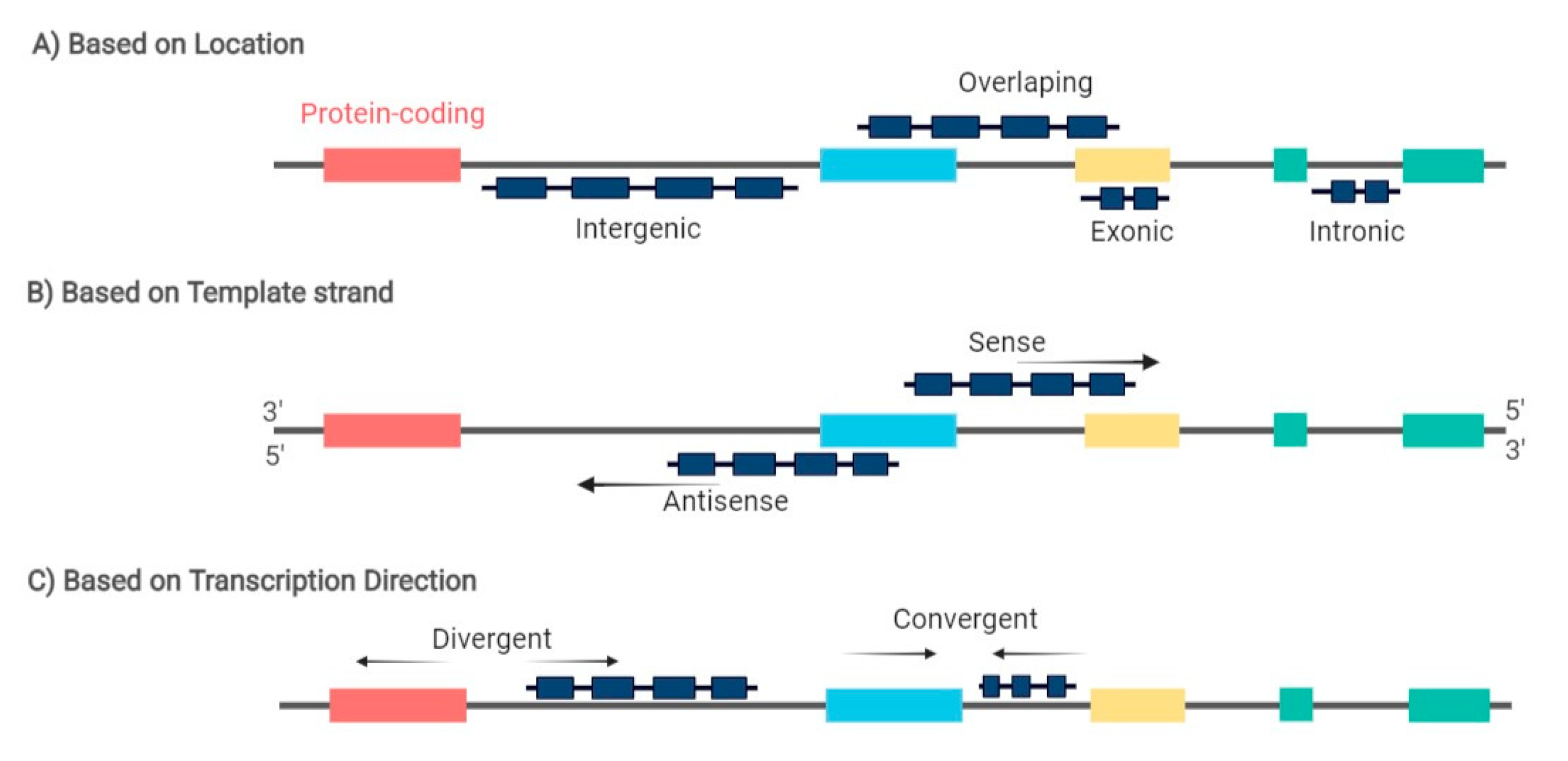 Biomedicines 09 01934 g001