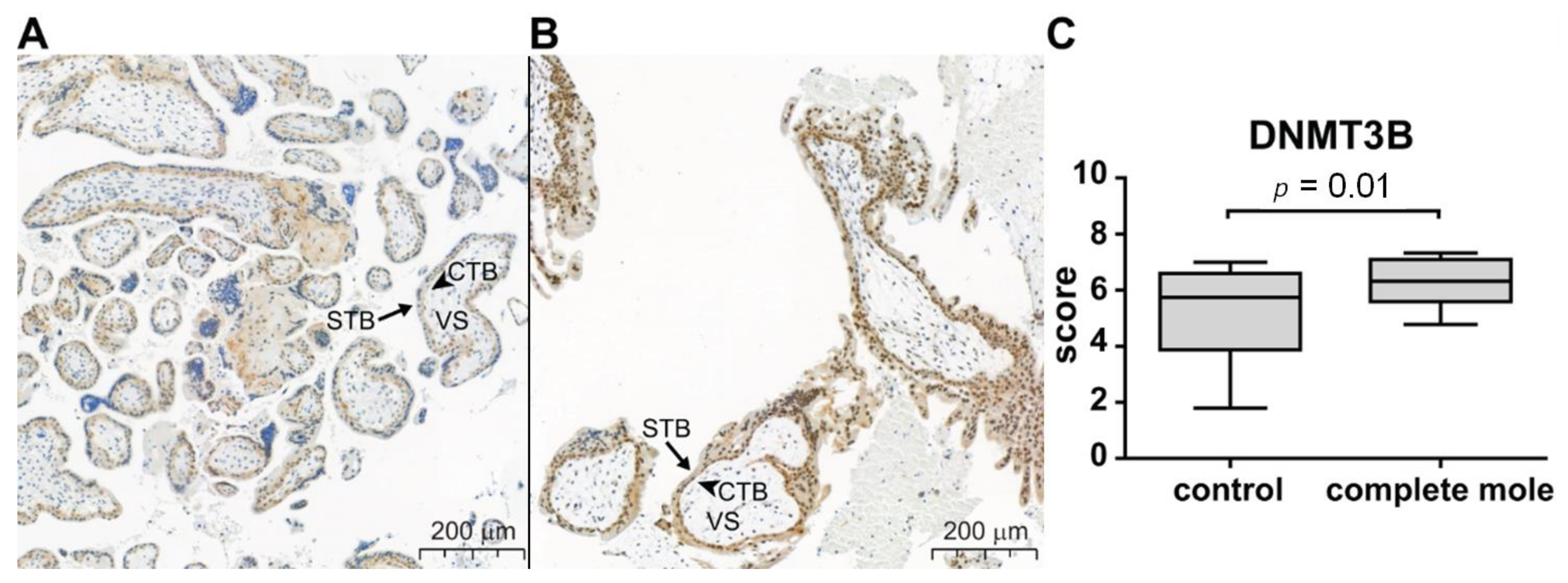 Biomedicines 09 01935 g007 550