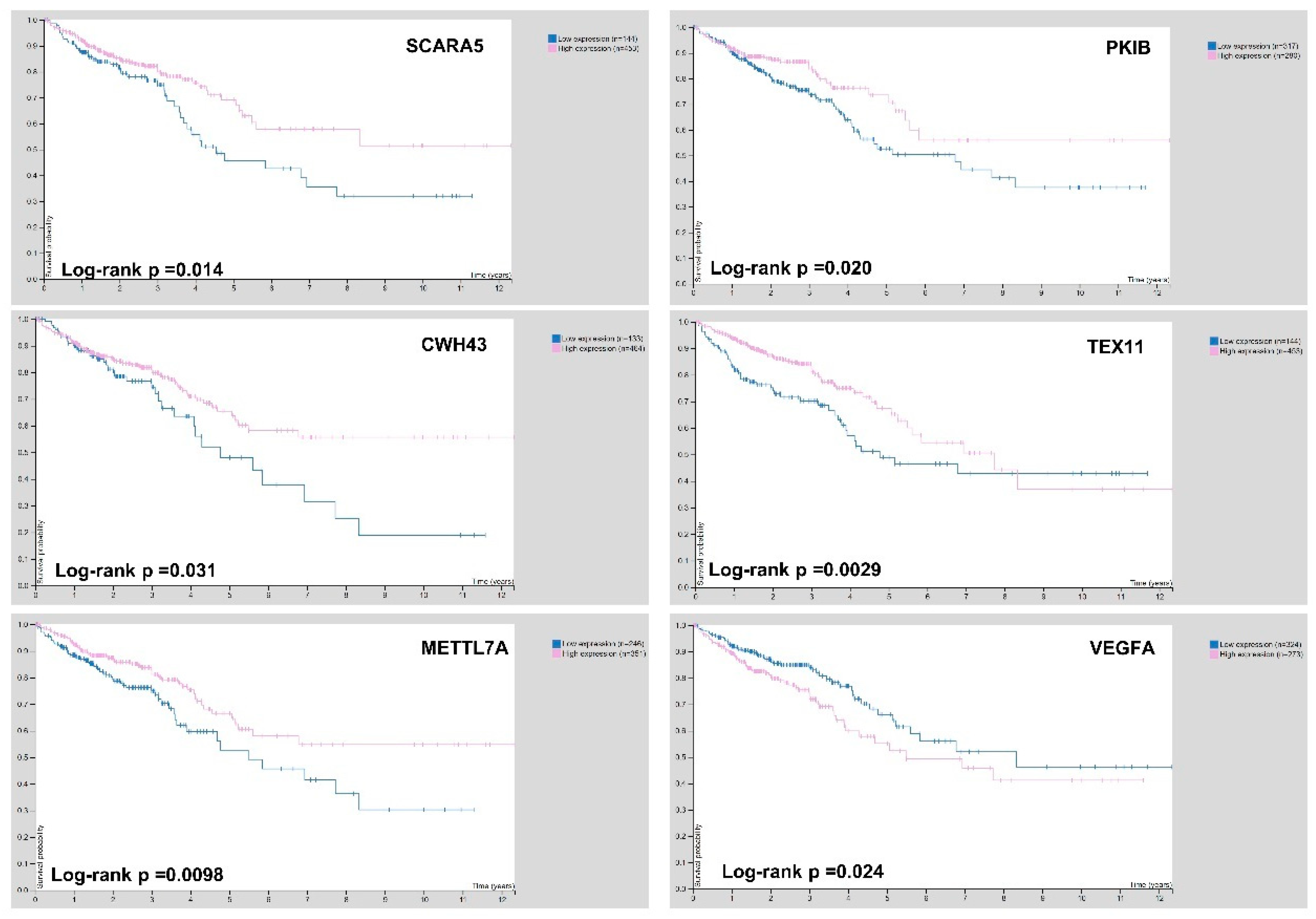 Biomedicines 09 01937 g006 550