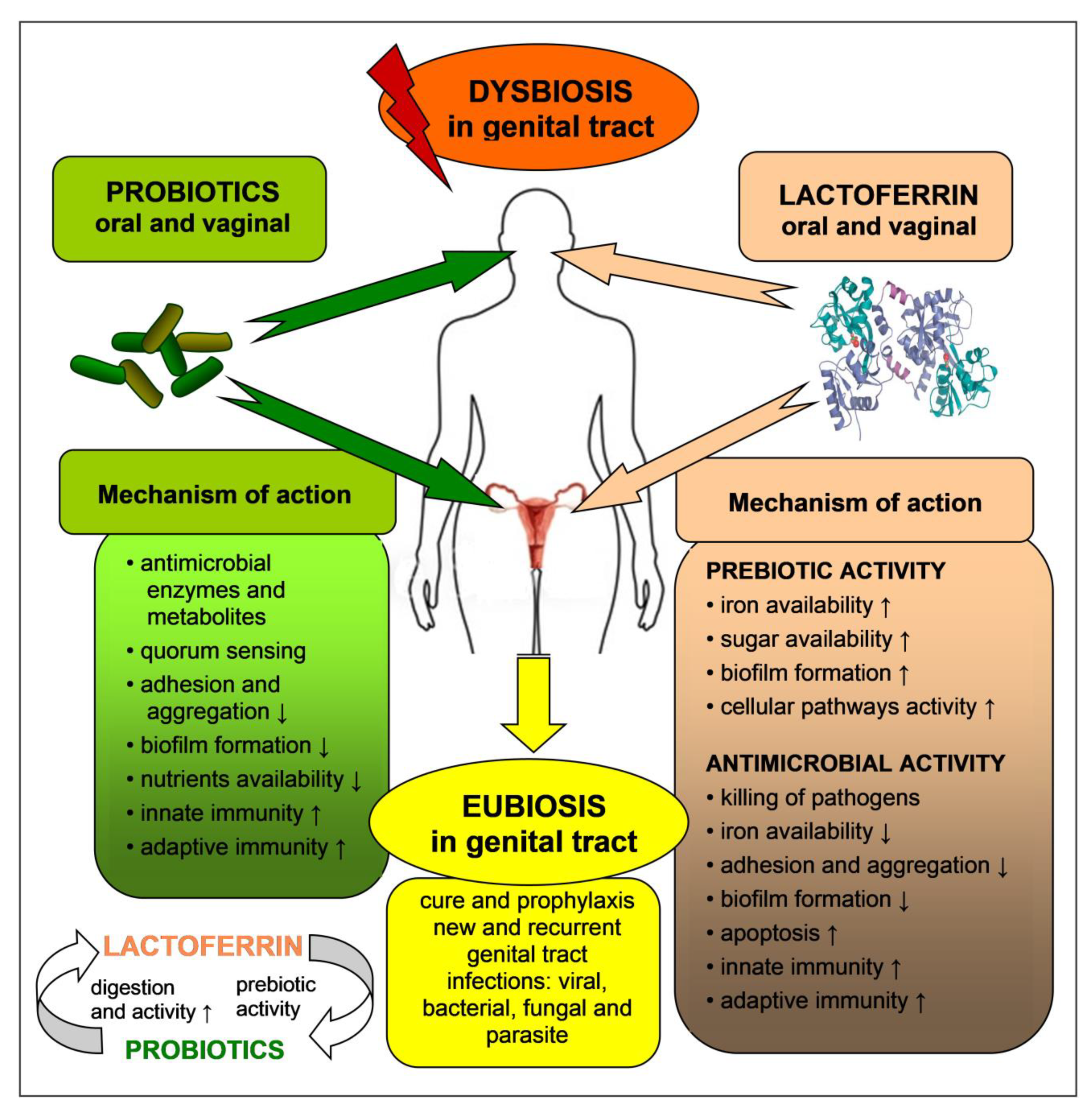 Biomedicines 09 01940 g003 Biomedicines 09 01940 g003