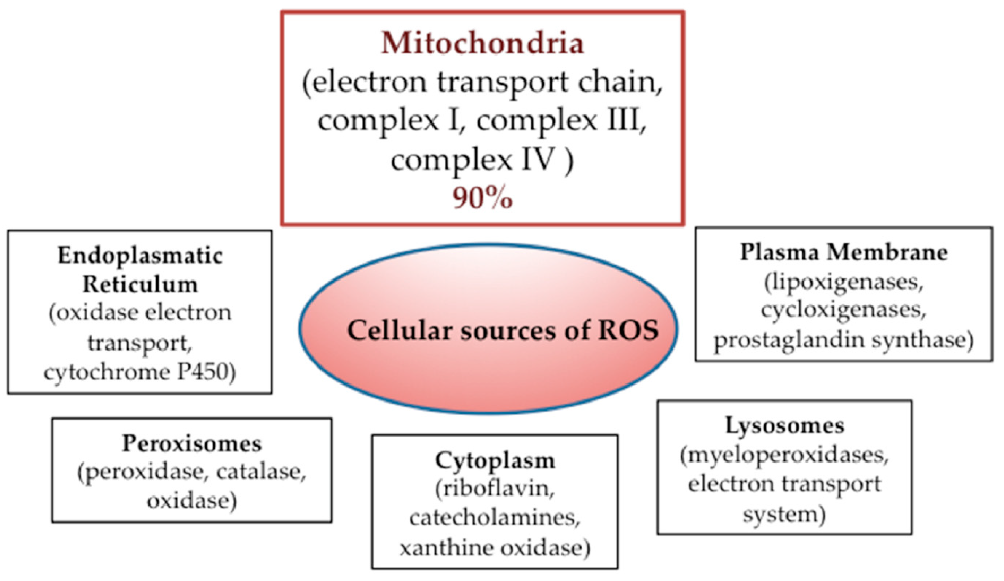 Biomedicines 09 01942 g001