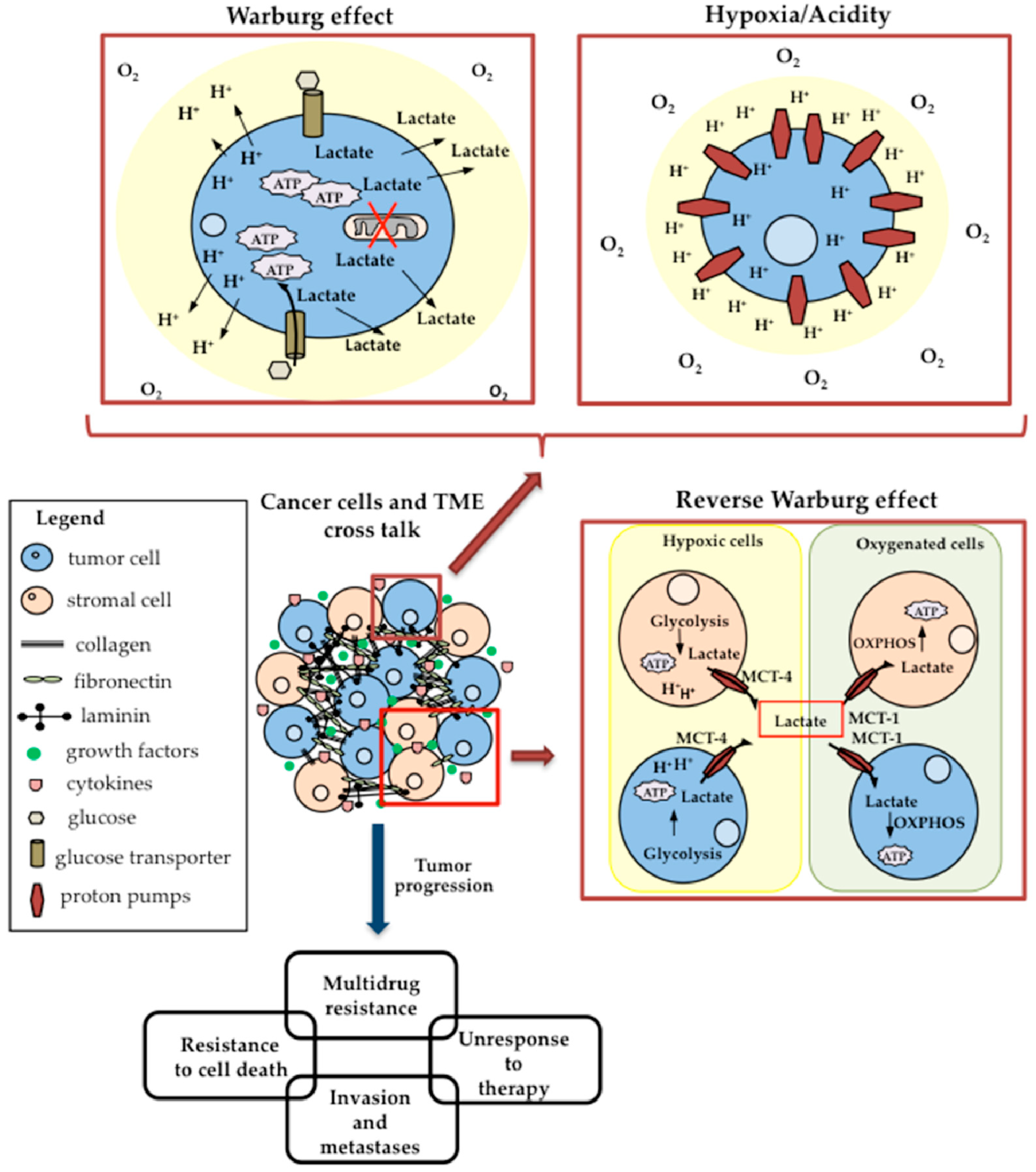 Biomedicines 09 01942 g004