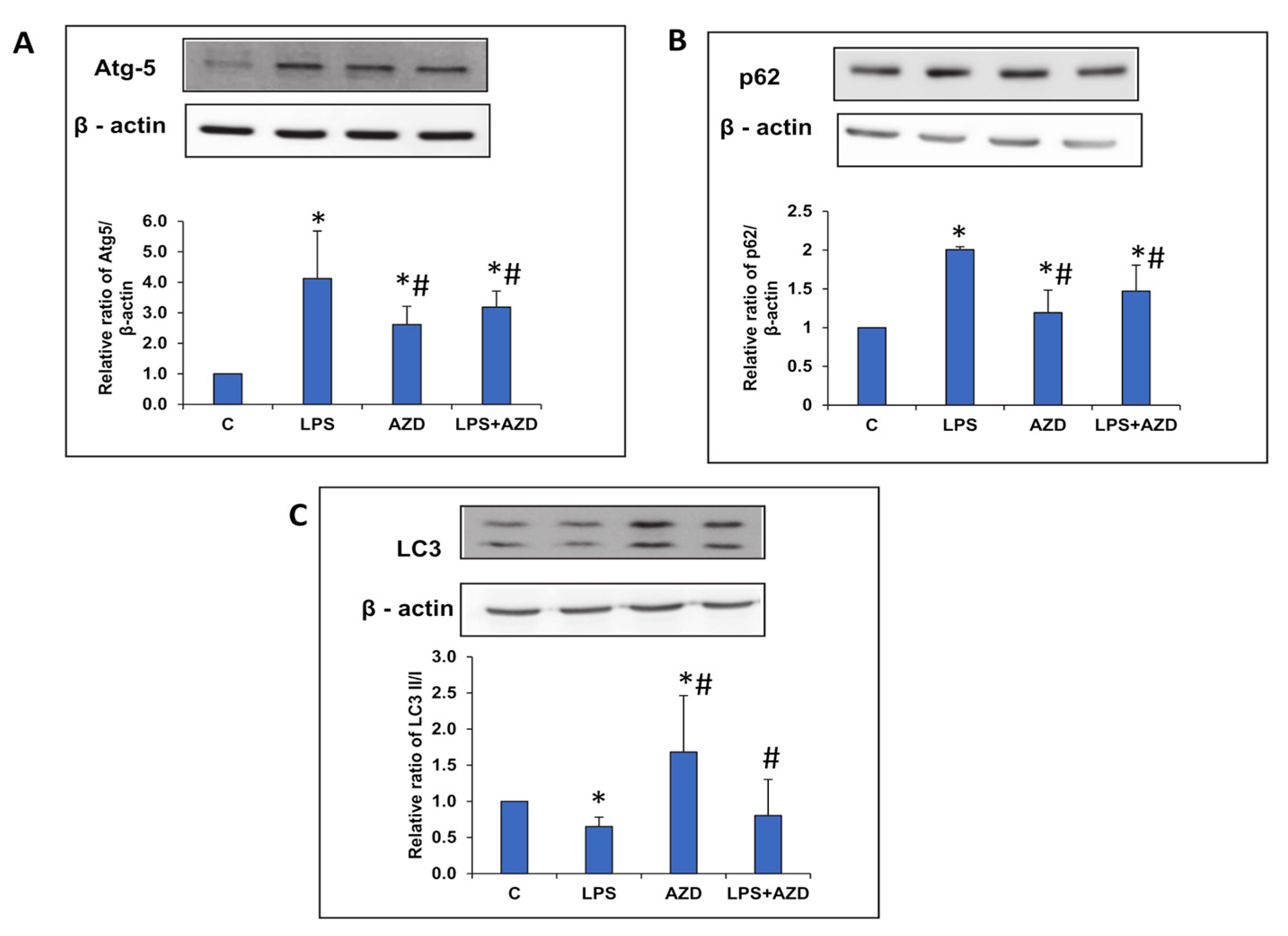 Biomedicines 09 01943 g005