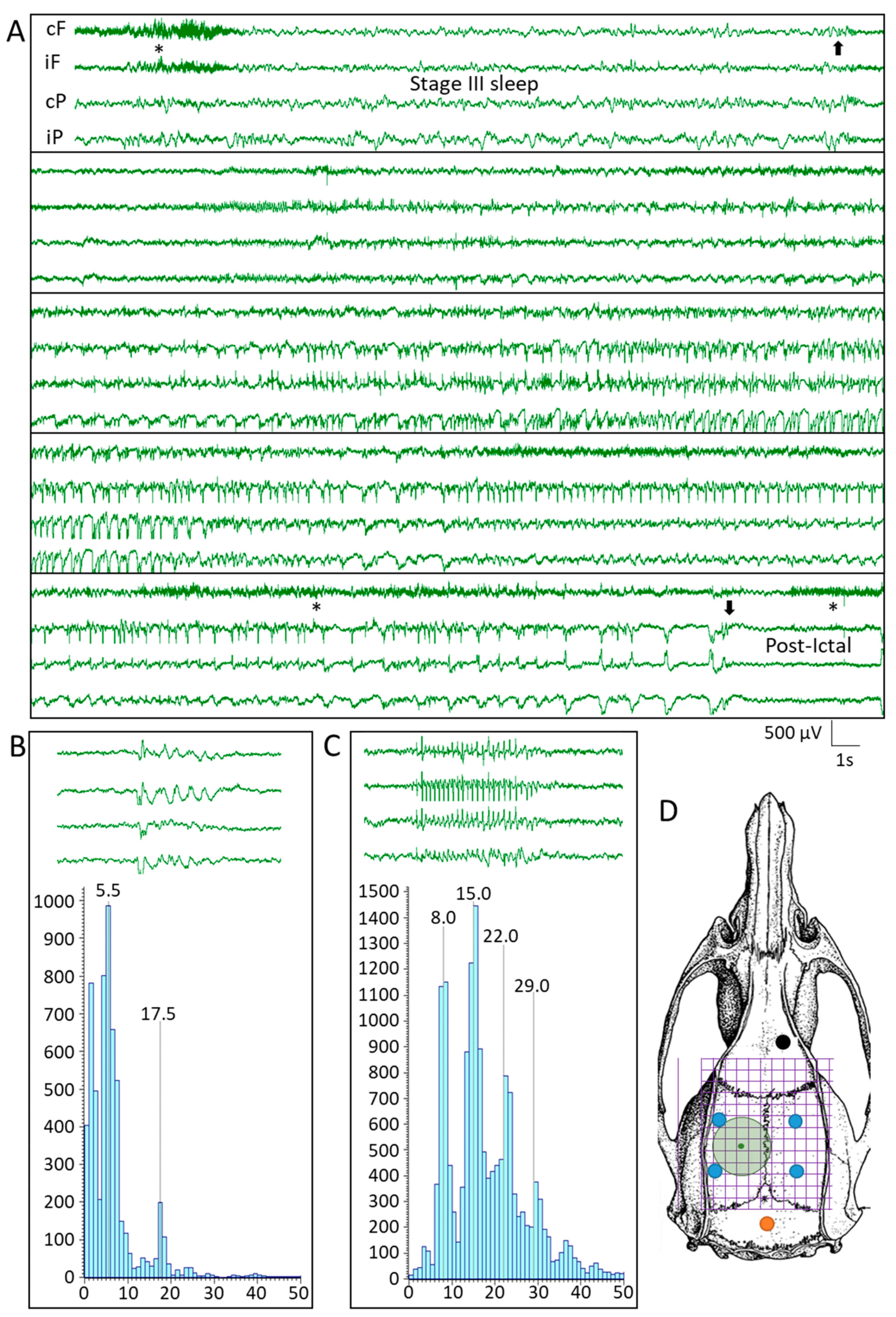 Biomedicines 09 01946 g003