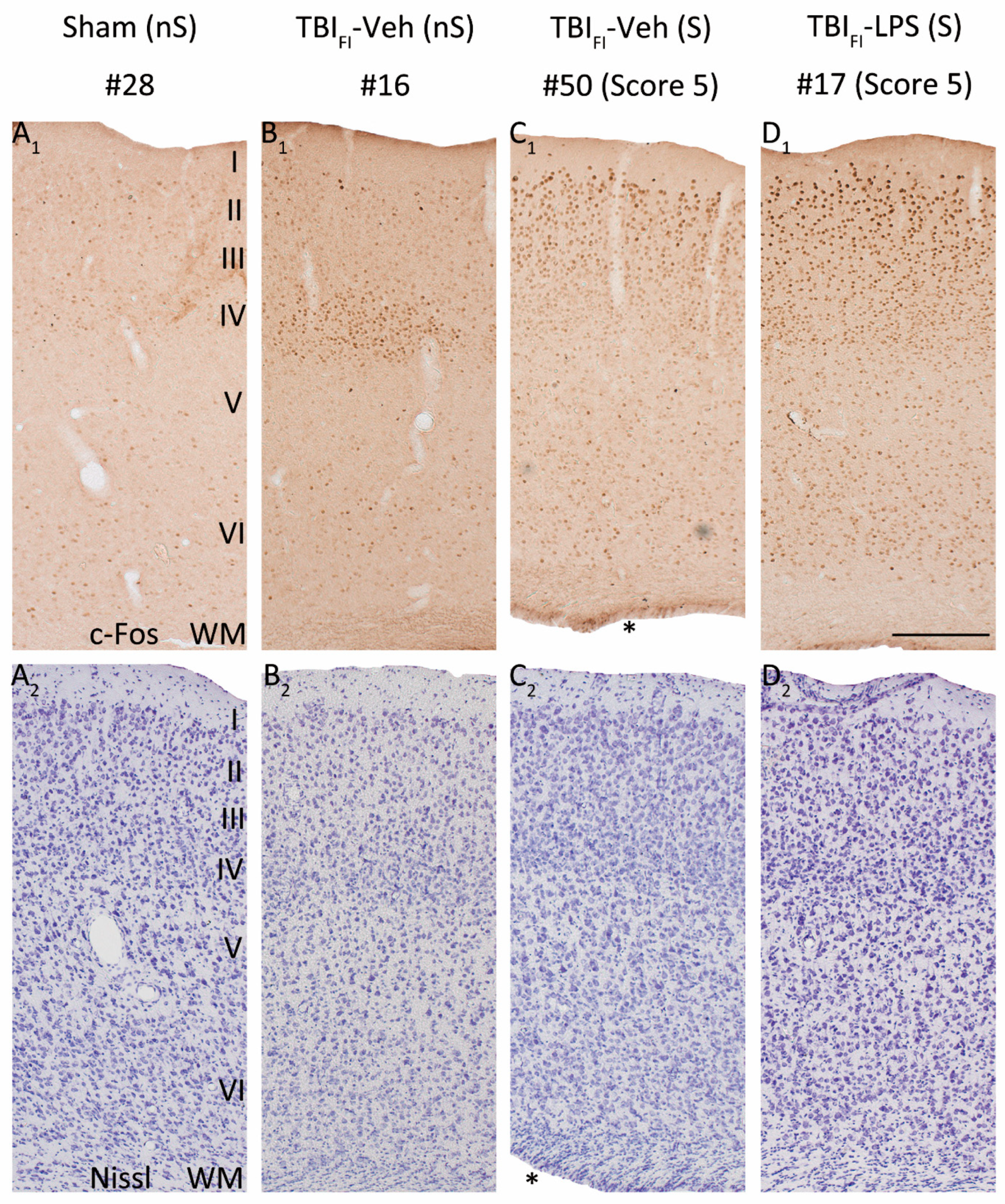 Biomedicines 09 01946 g006