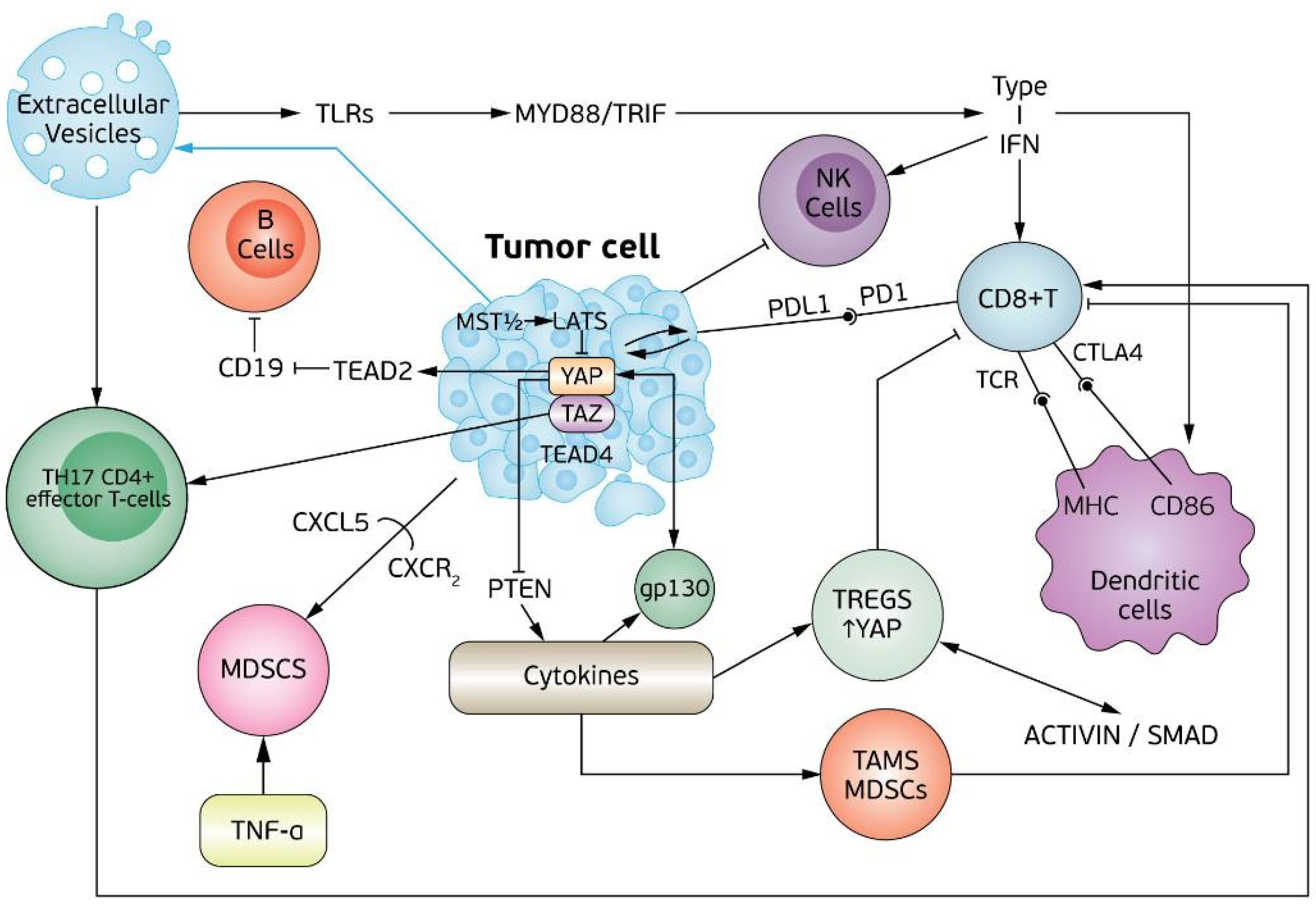 Biomedicines 09 01949 g001 550