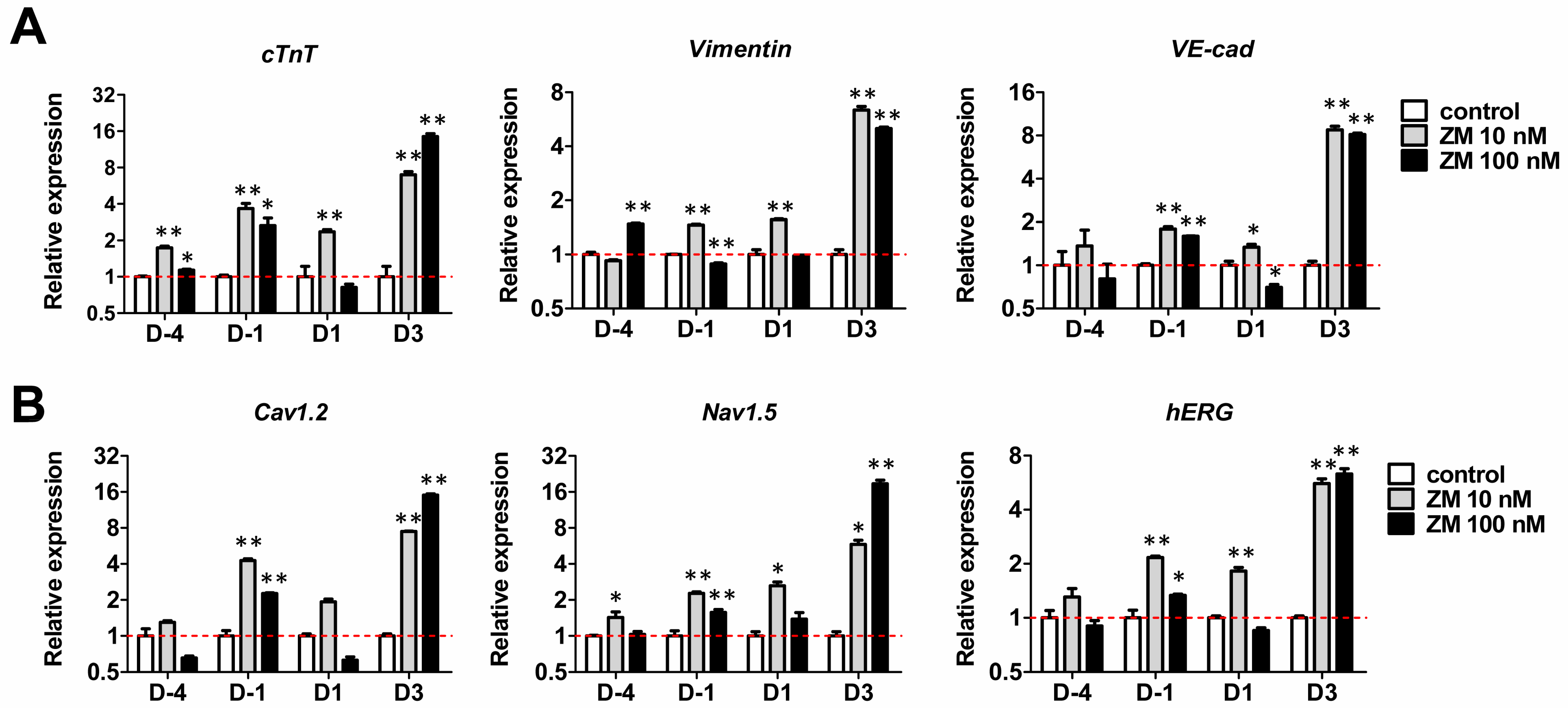 Biomedicines 09 01952 g003