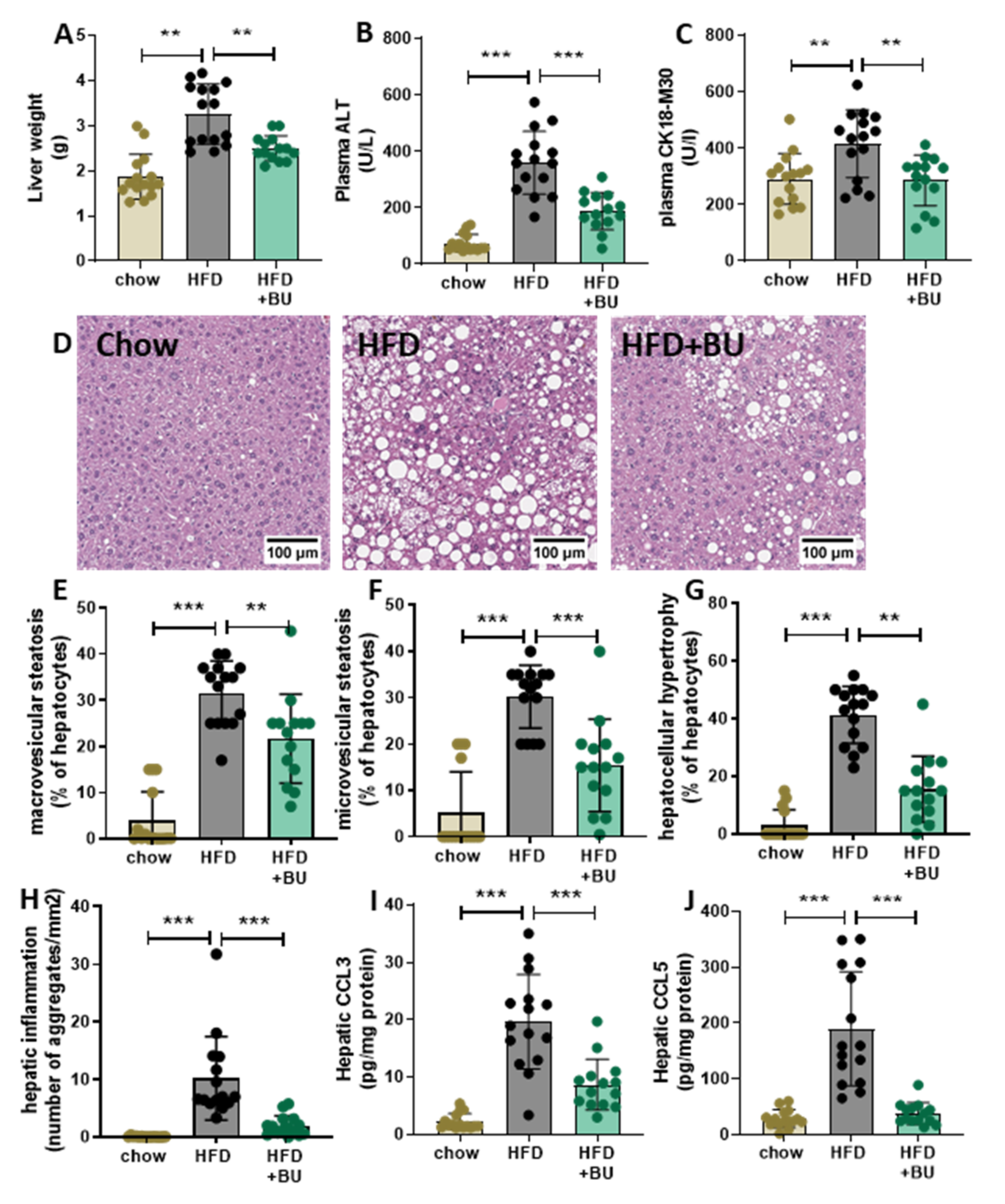 Biomedicines 09 01954 g003