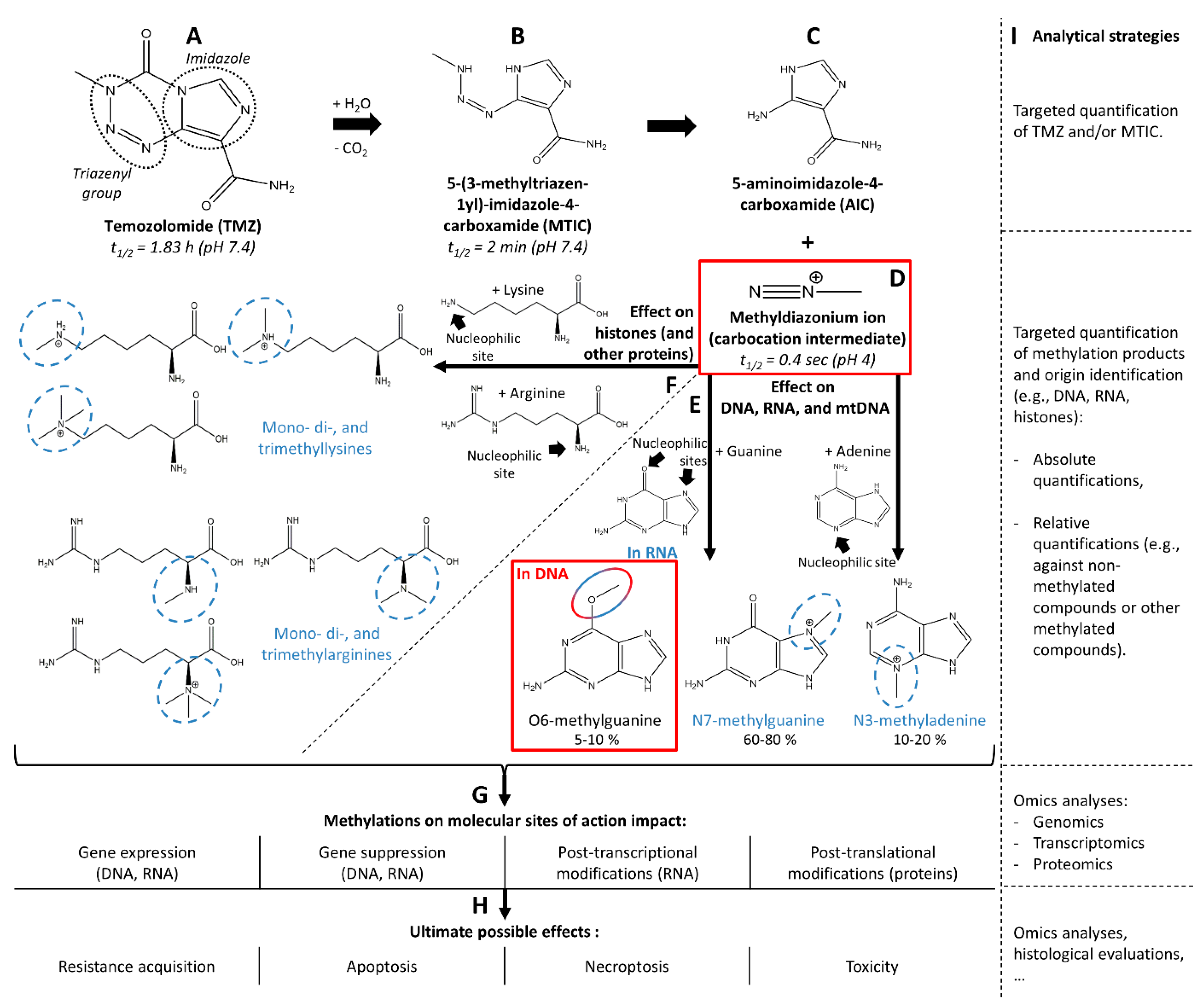 Biomedicines 10 00001 g001 Biomedicines 10 00001 g001