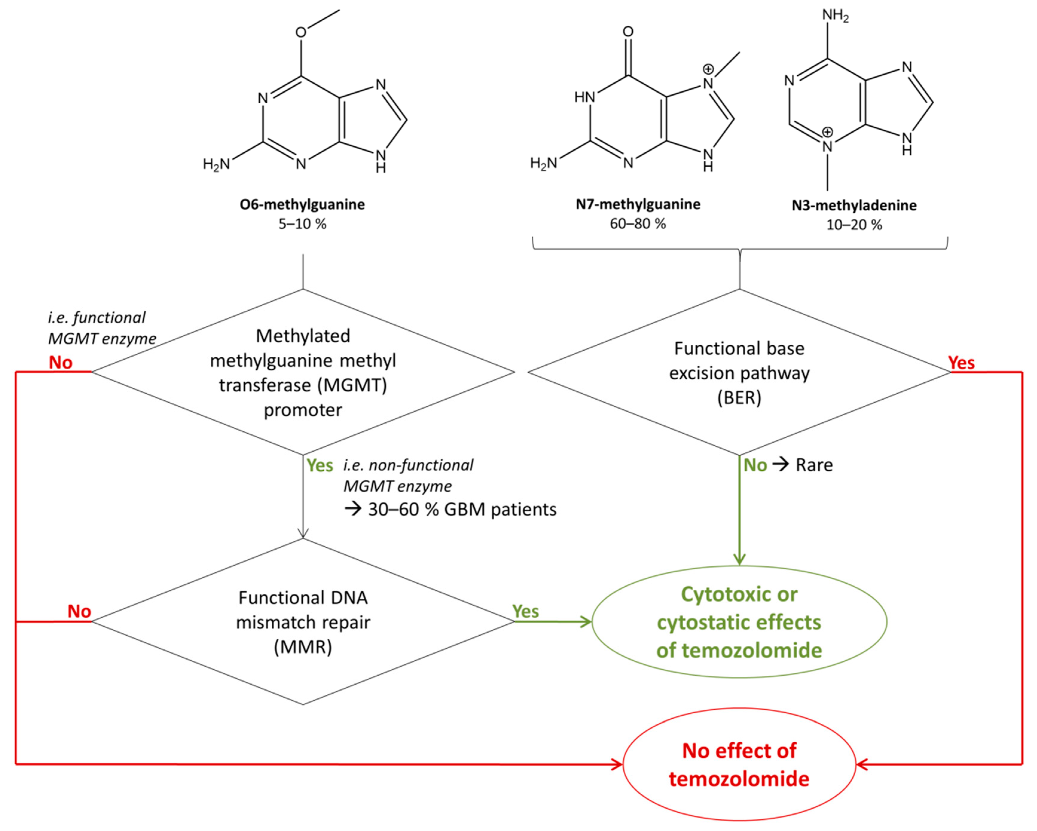 Biomedicines 10 00001 g002 Biomedicines 10 00001 g002