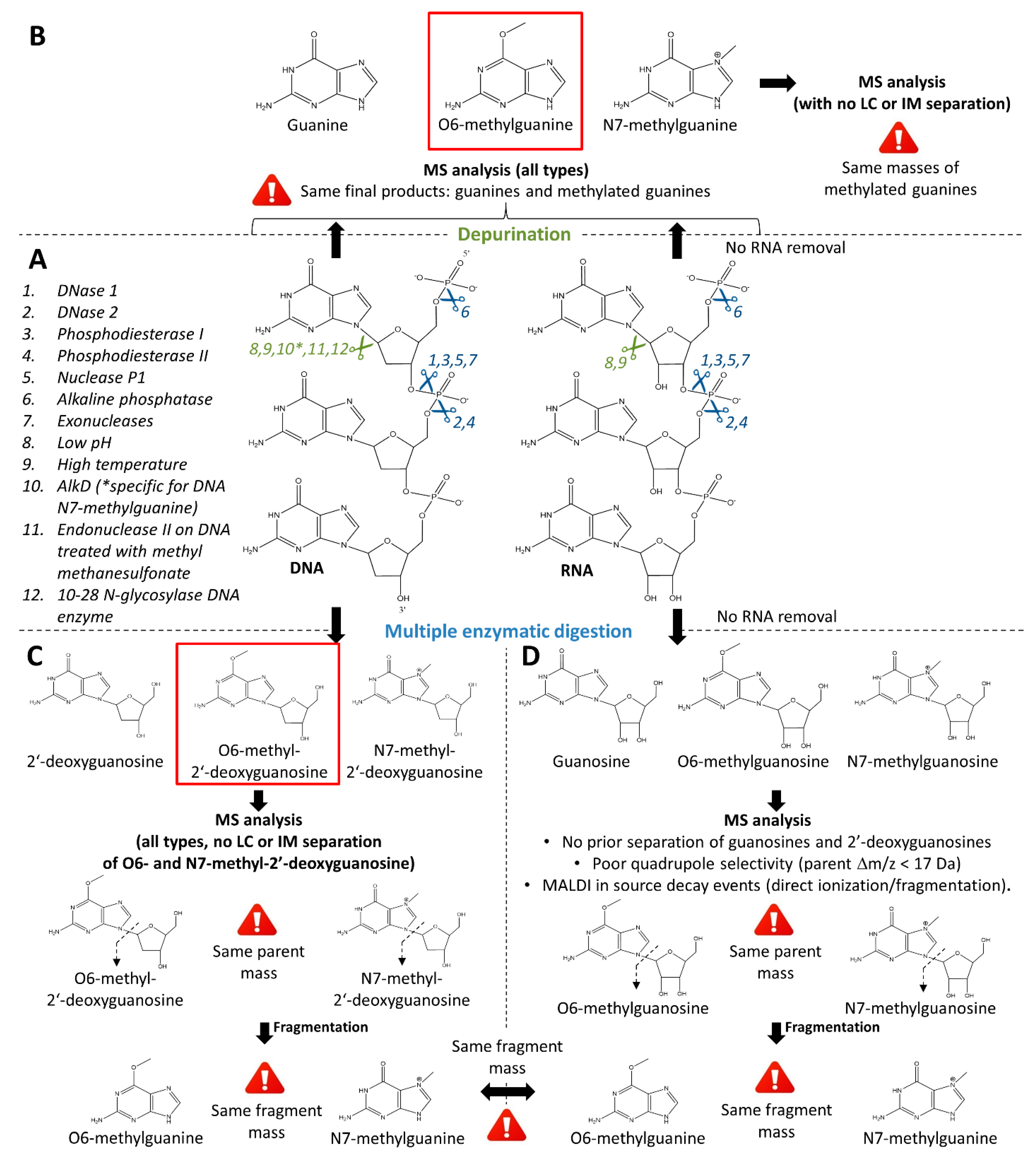 Biomedicines 10 00001 g004 Biomedicines 10 00001 g004