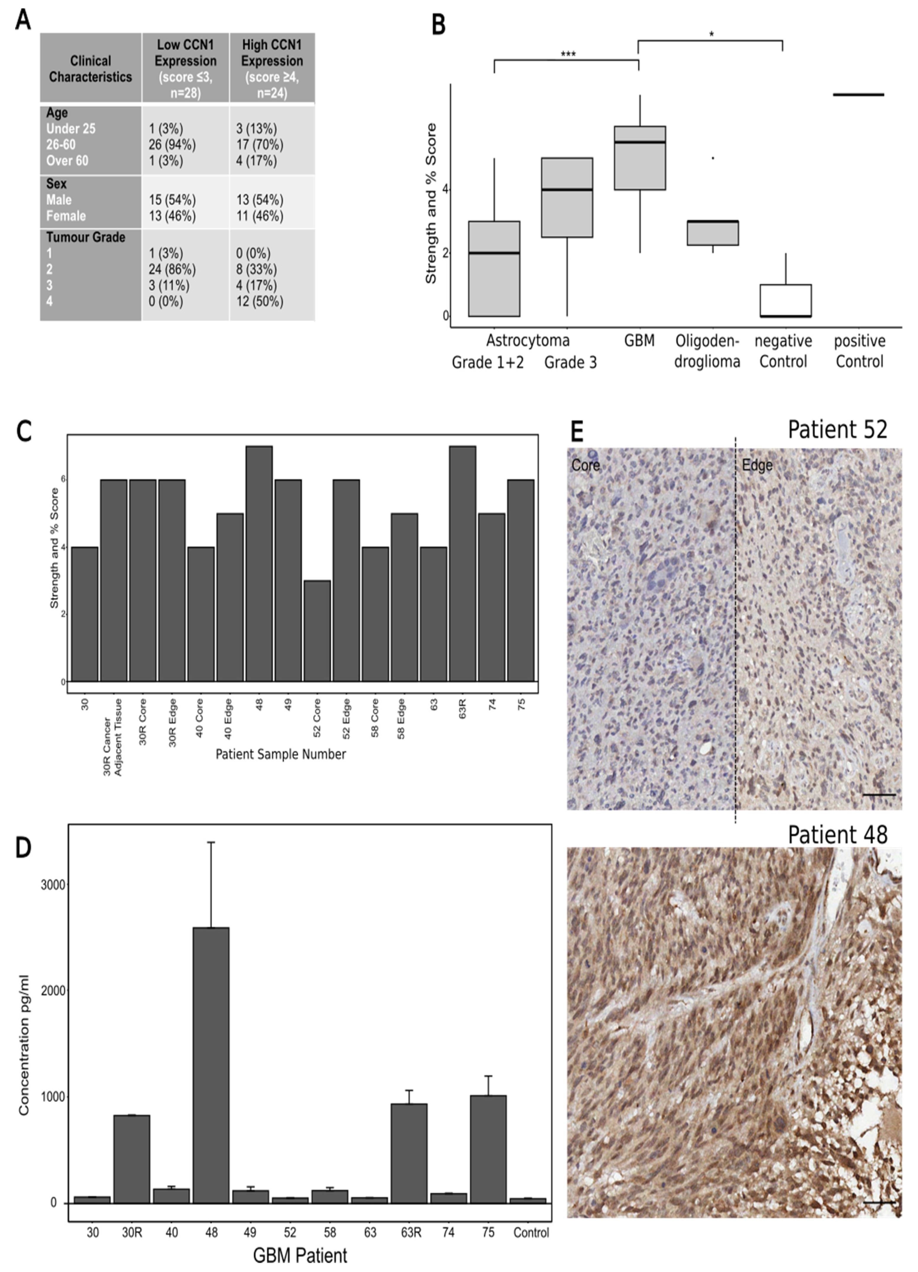 Biomedicines 10 00009 g001 550