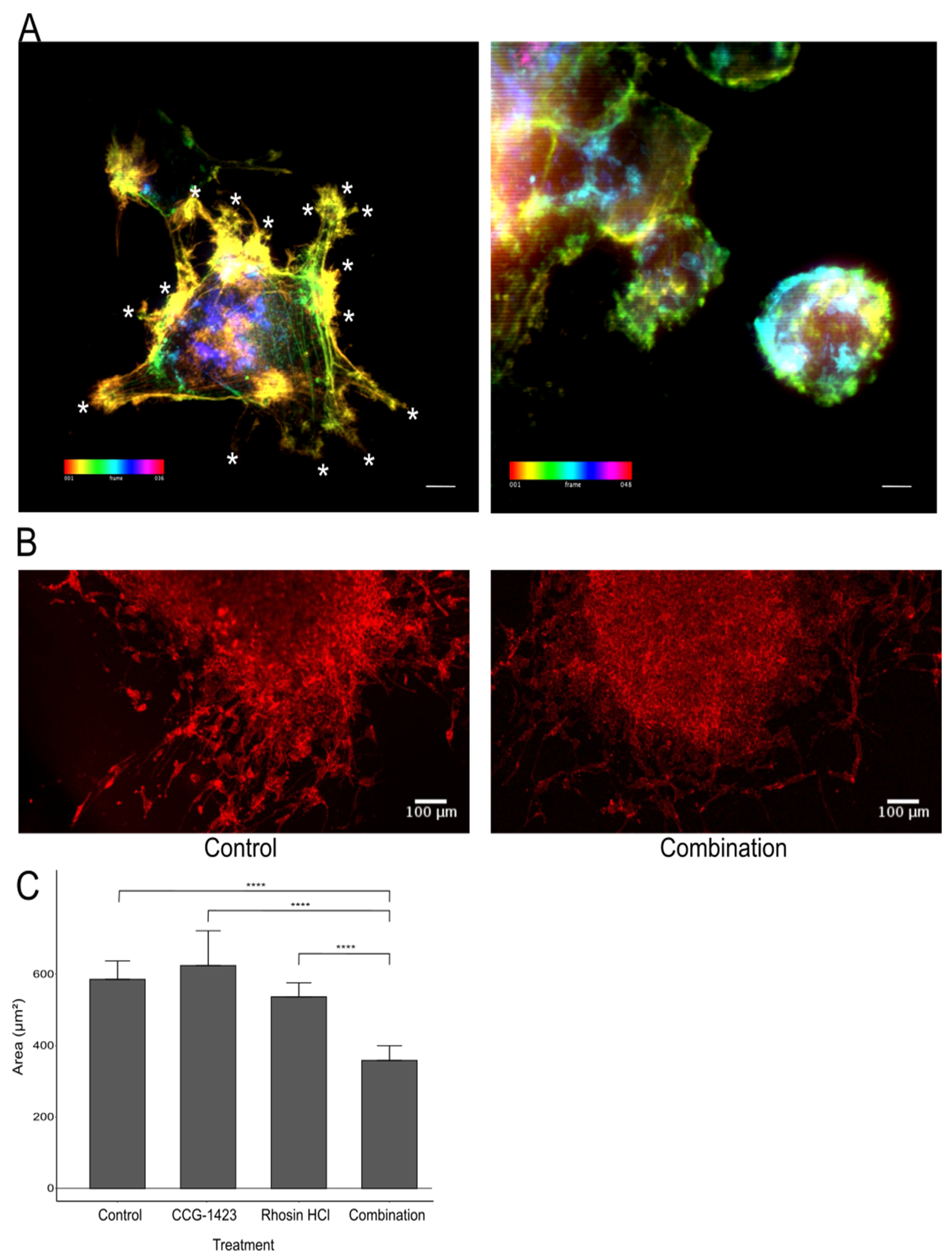 Biomedicines 10 00009 g004 550