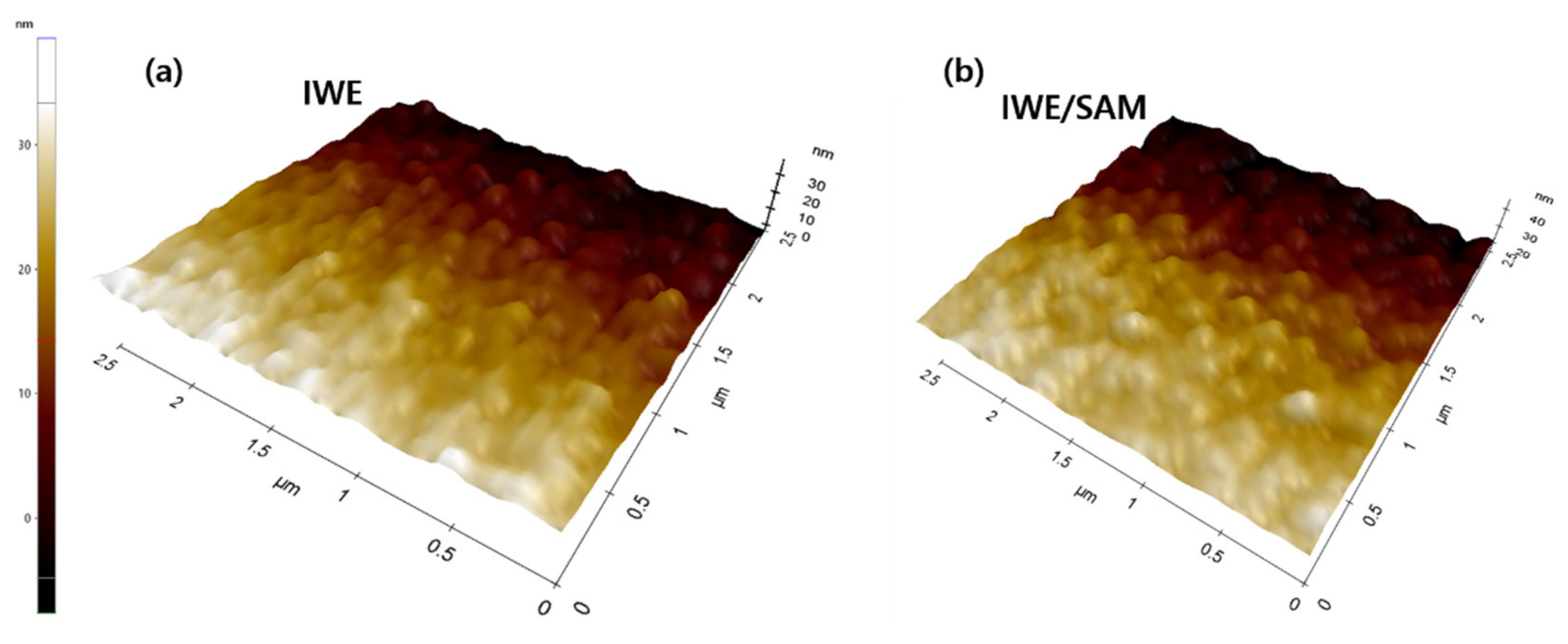 Biomedicines 10 00010 g002