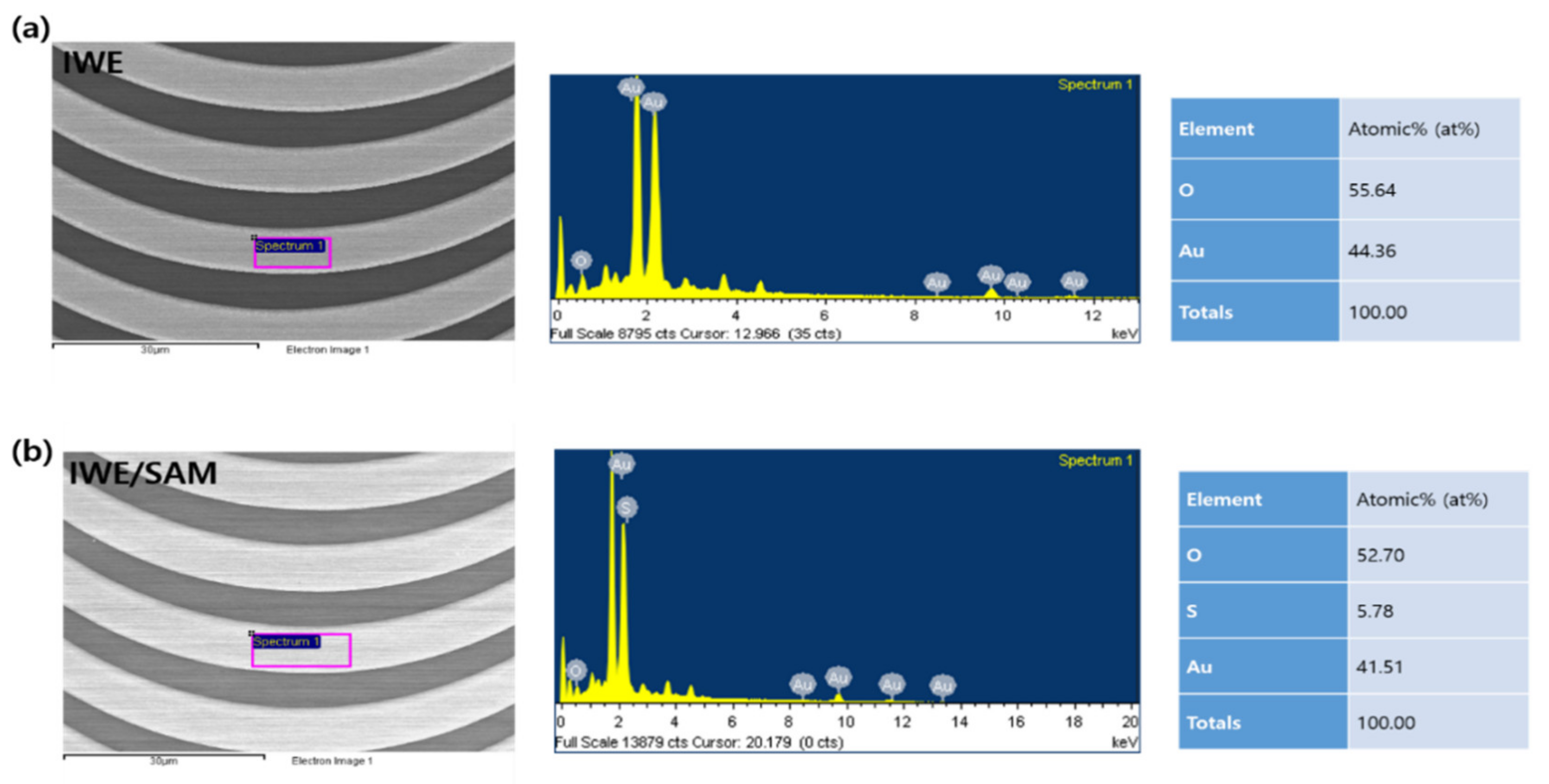 Biomedicines 10 00010 g003