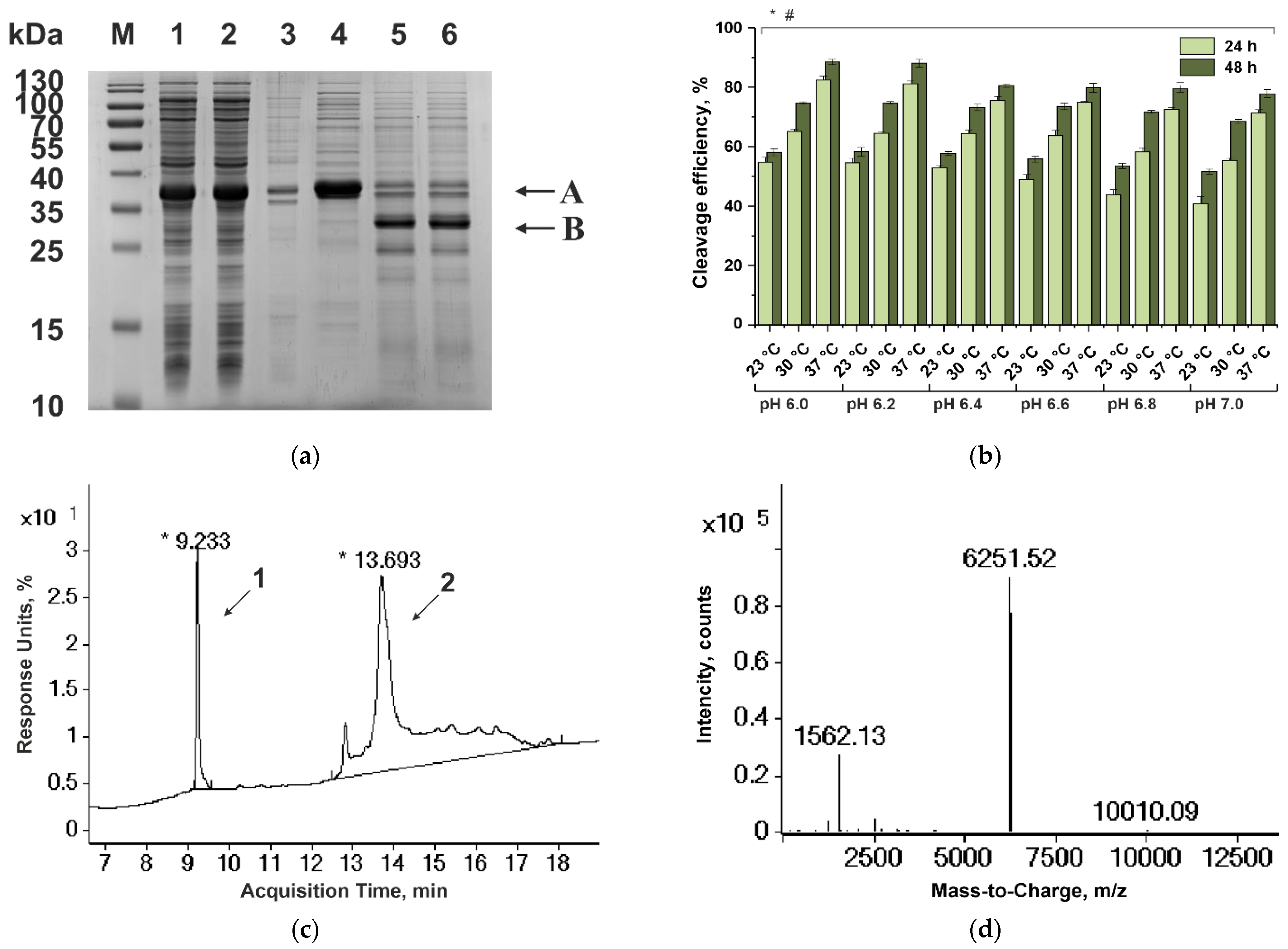 Biomedicines 10 00011 g001