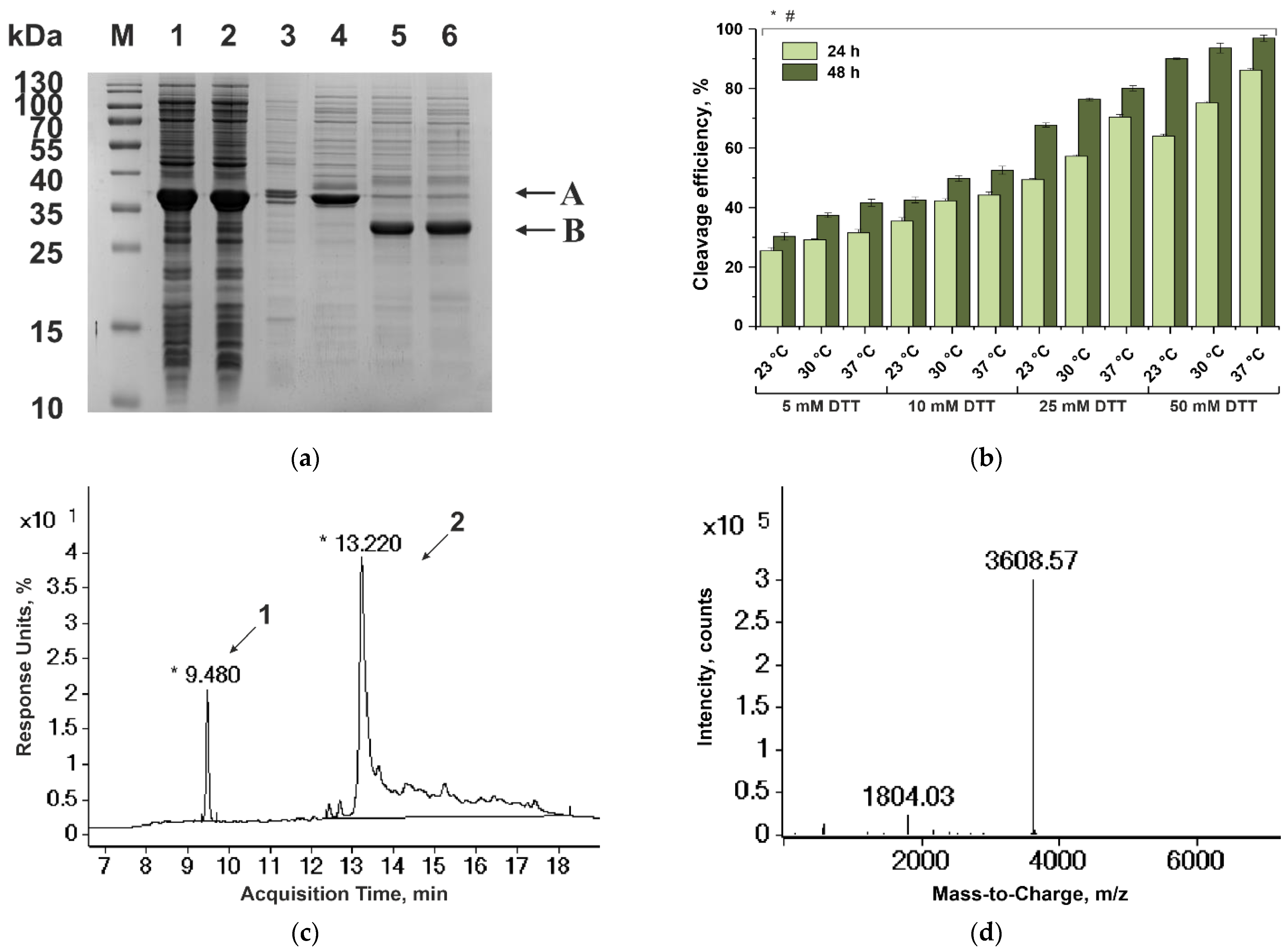 Biomedicines 10 00011 g002