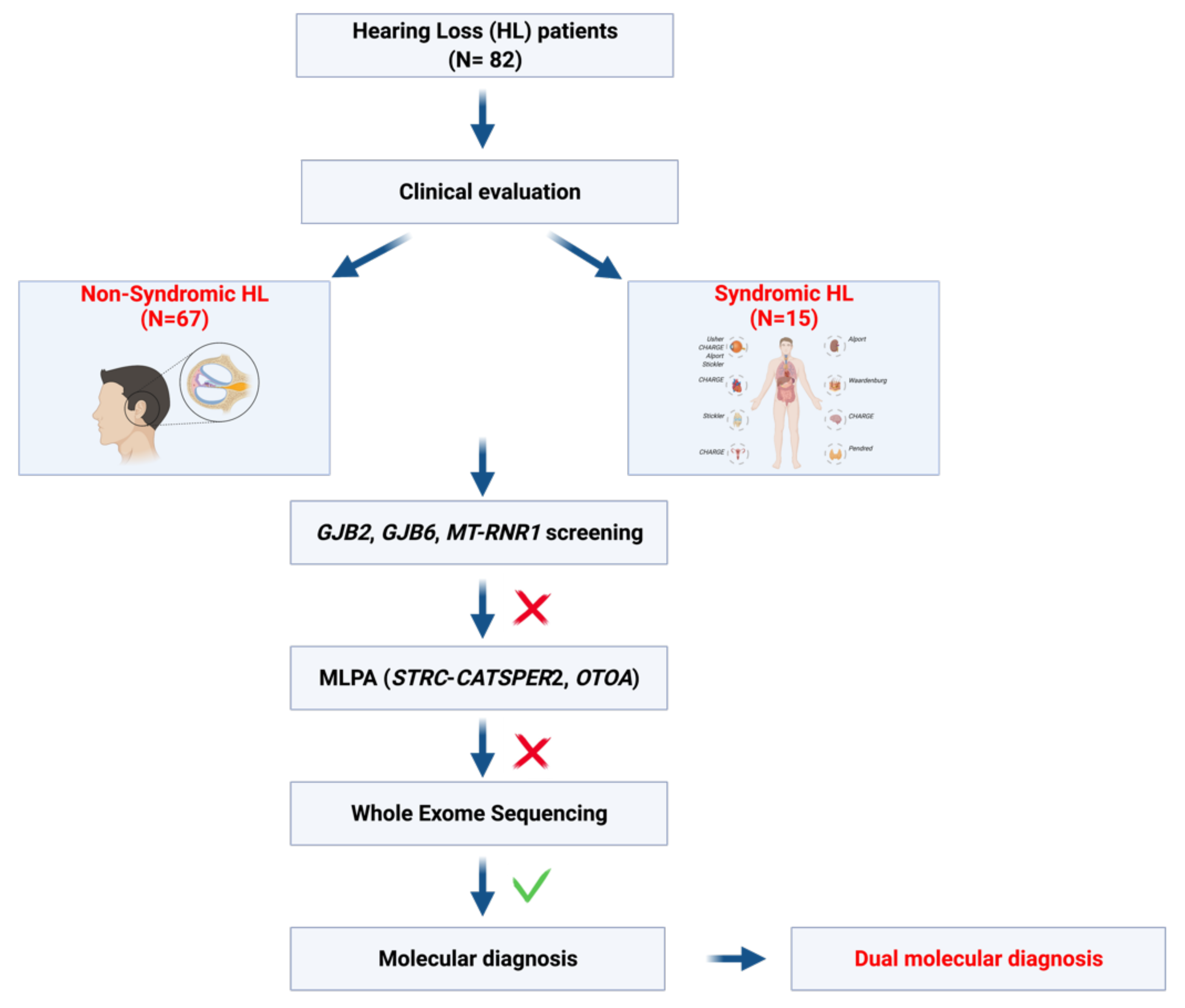 Biomedicines 10 00012 g001