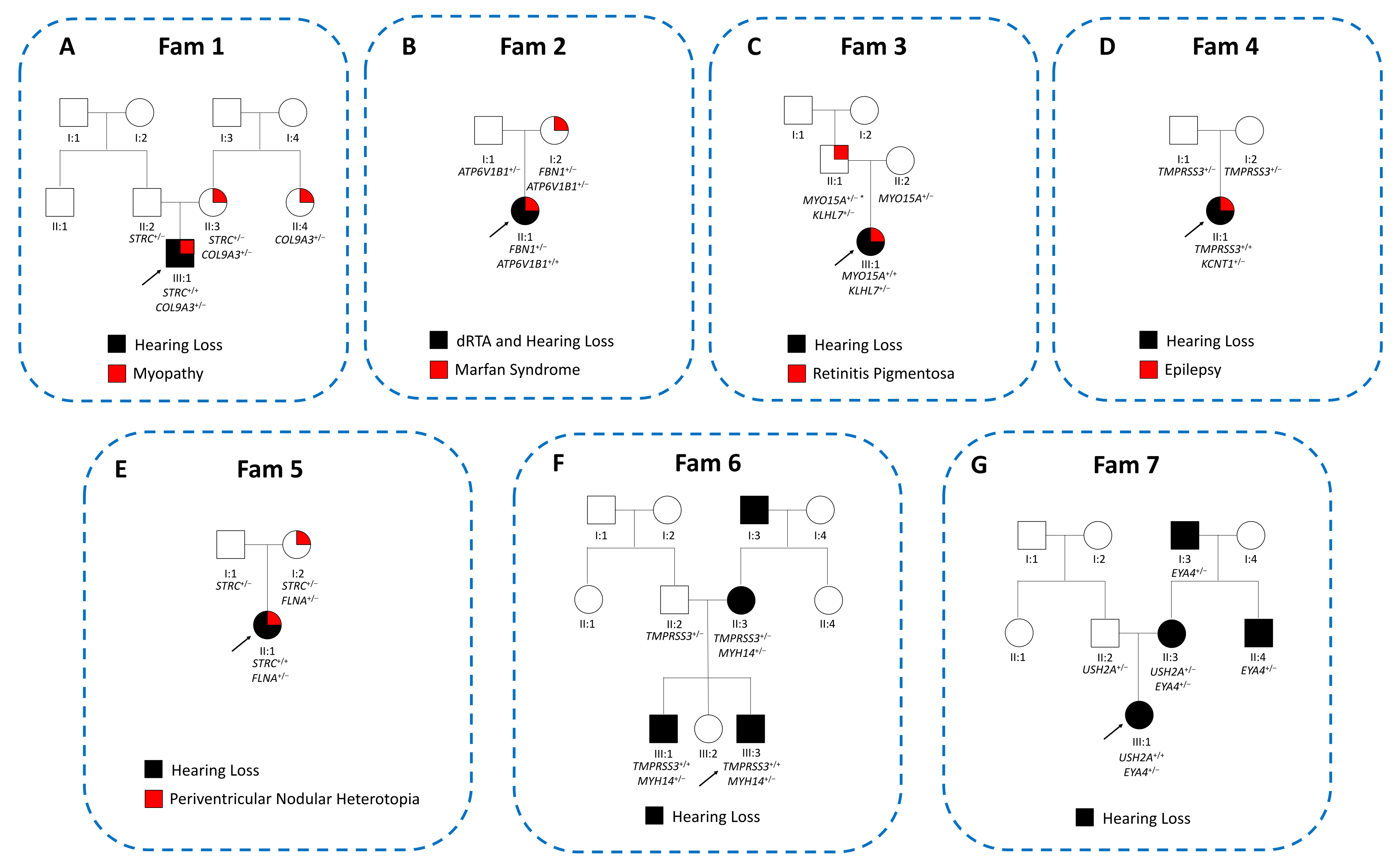 Biomedicines 10 00012 g002
