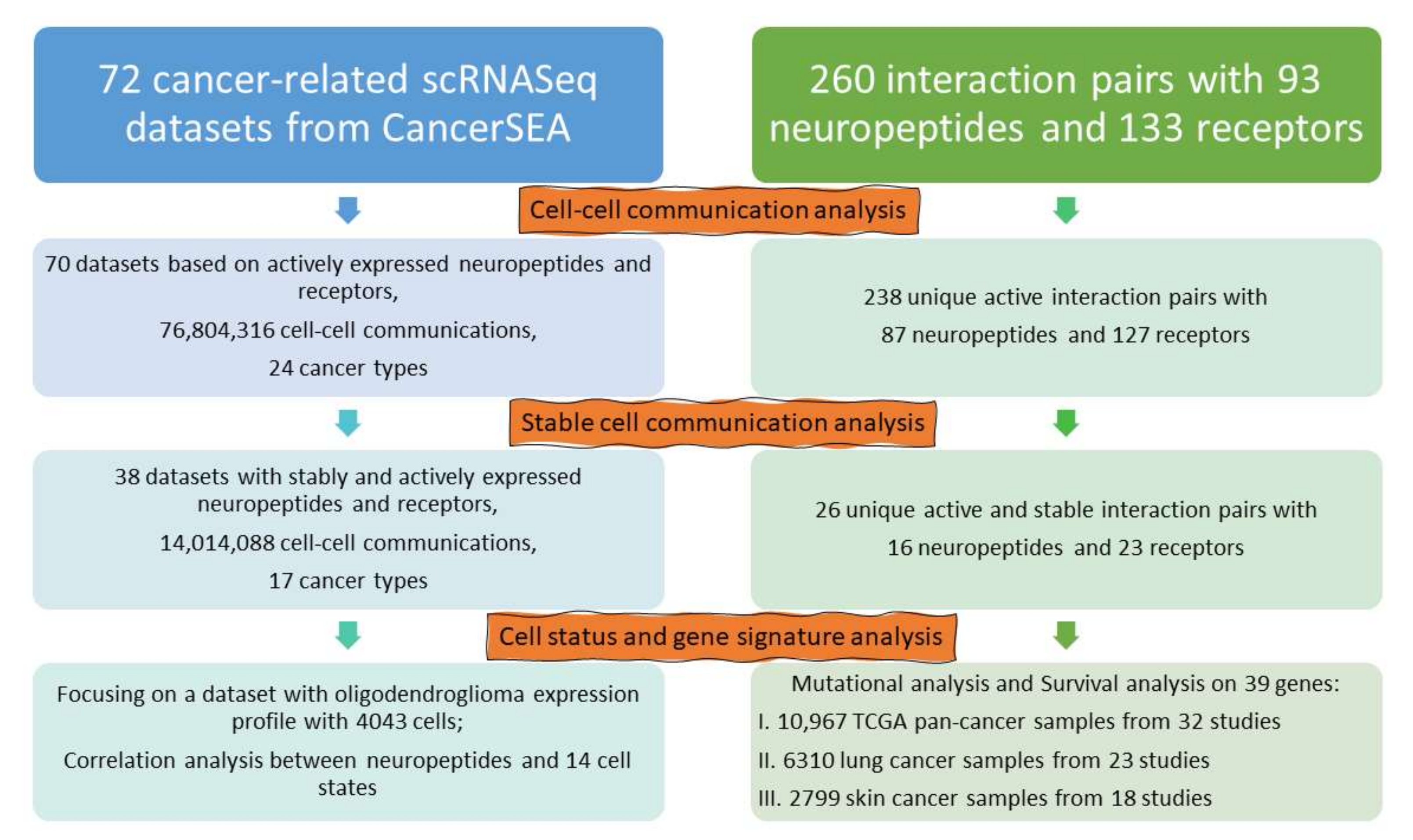 Biomedicines 10 00014 g001