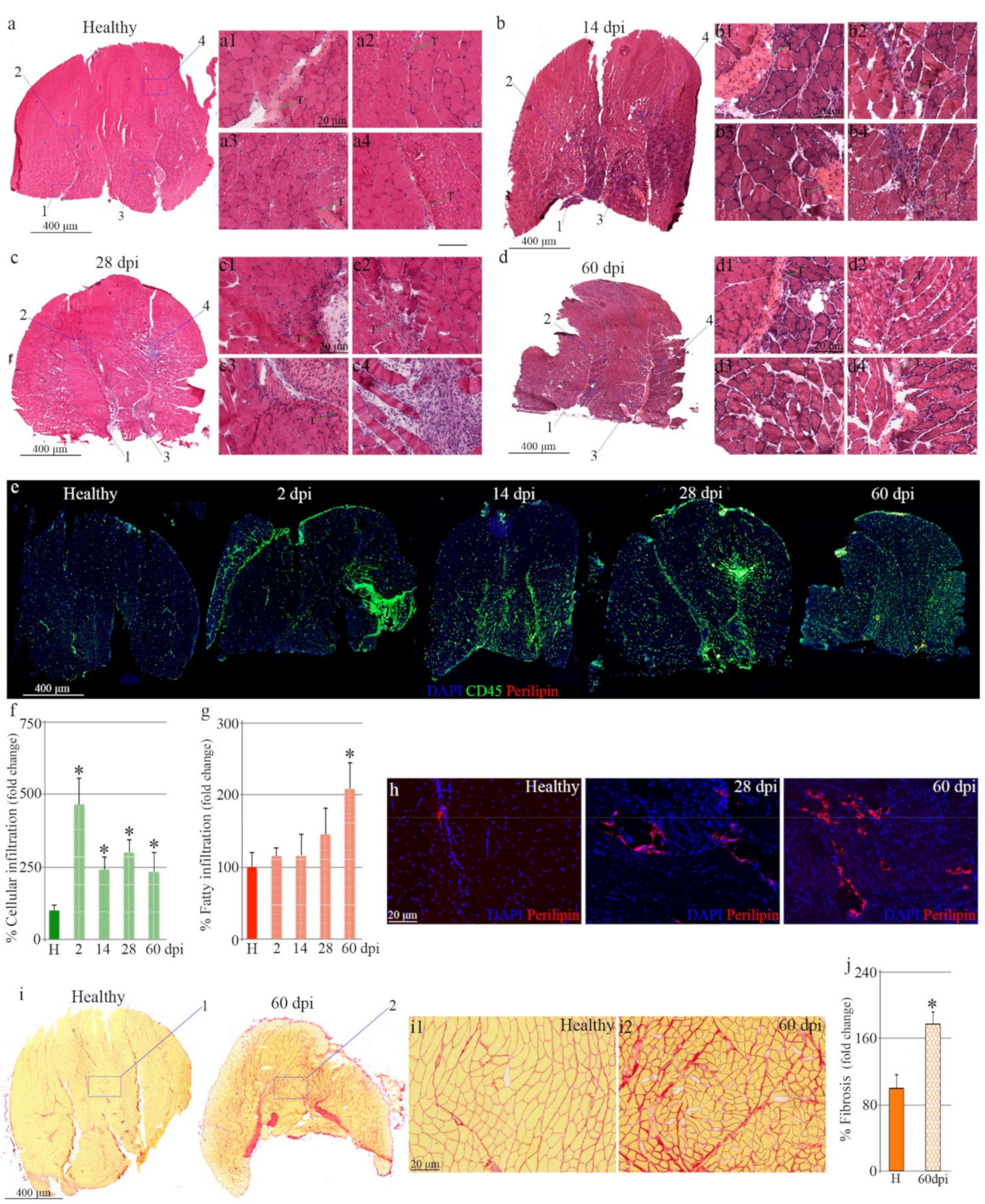 Biomedicines 10 00019 g002