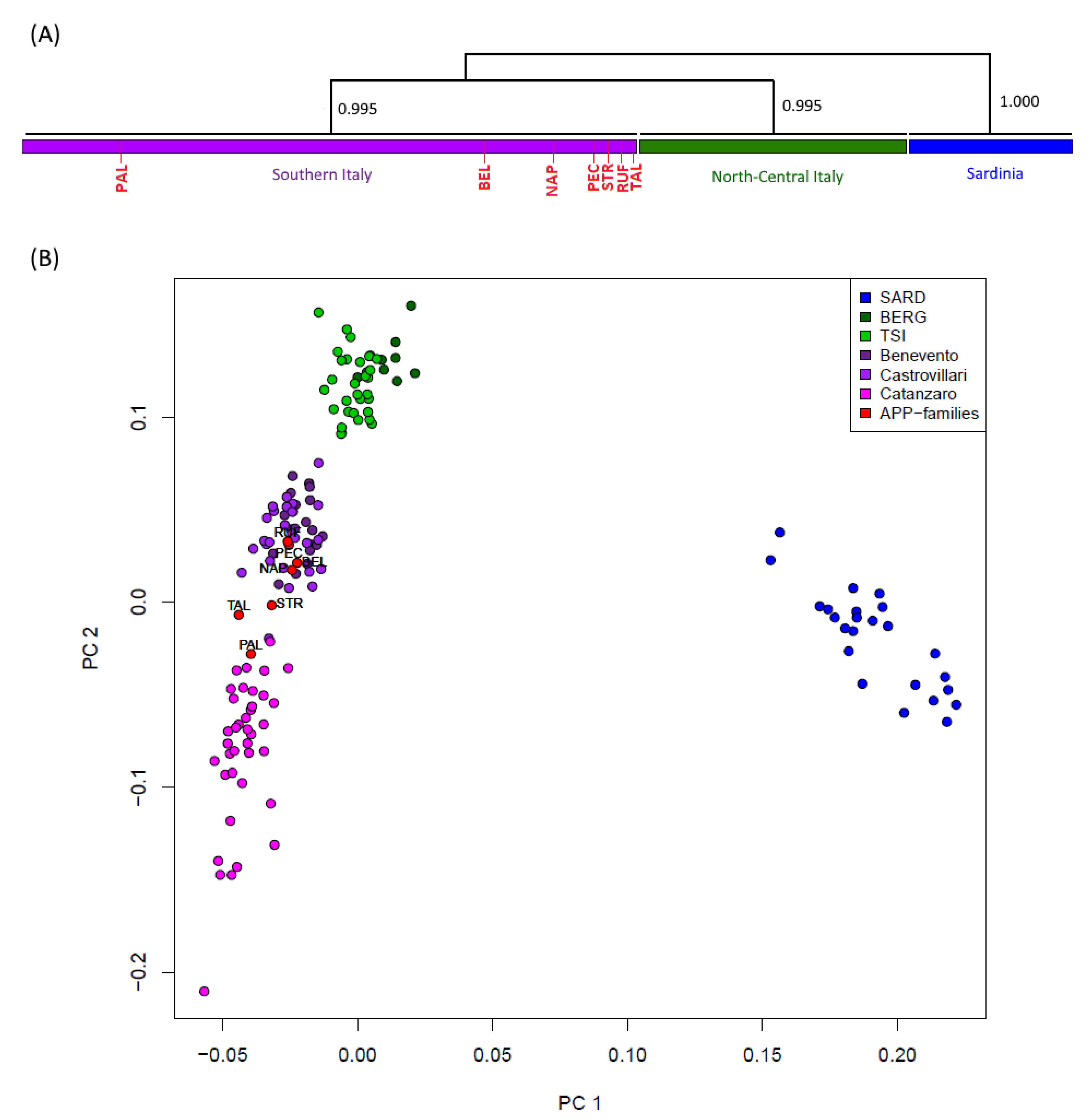 Biomedicines 10 00020 g001 550