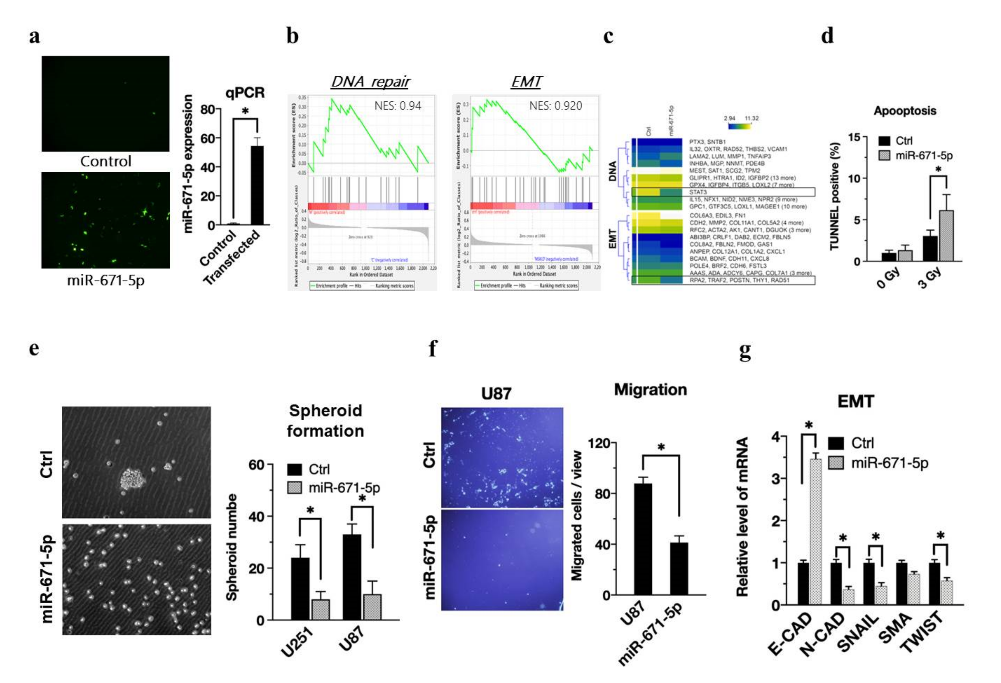Biomedicines 10 00021 g002 550