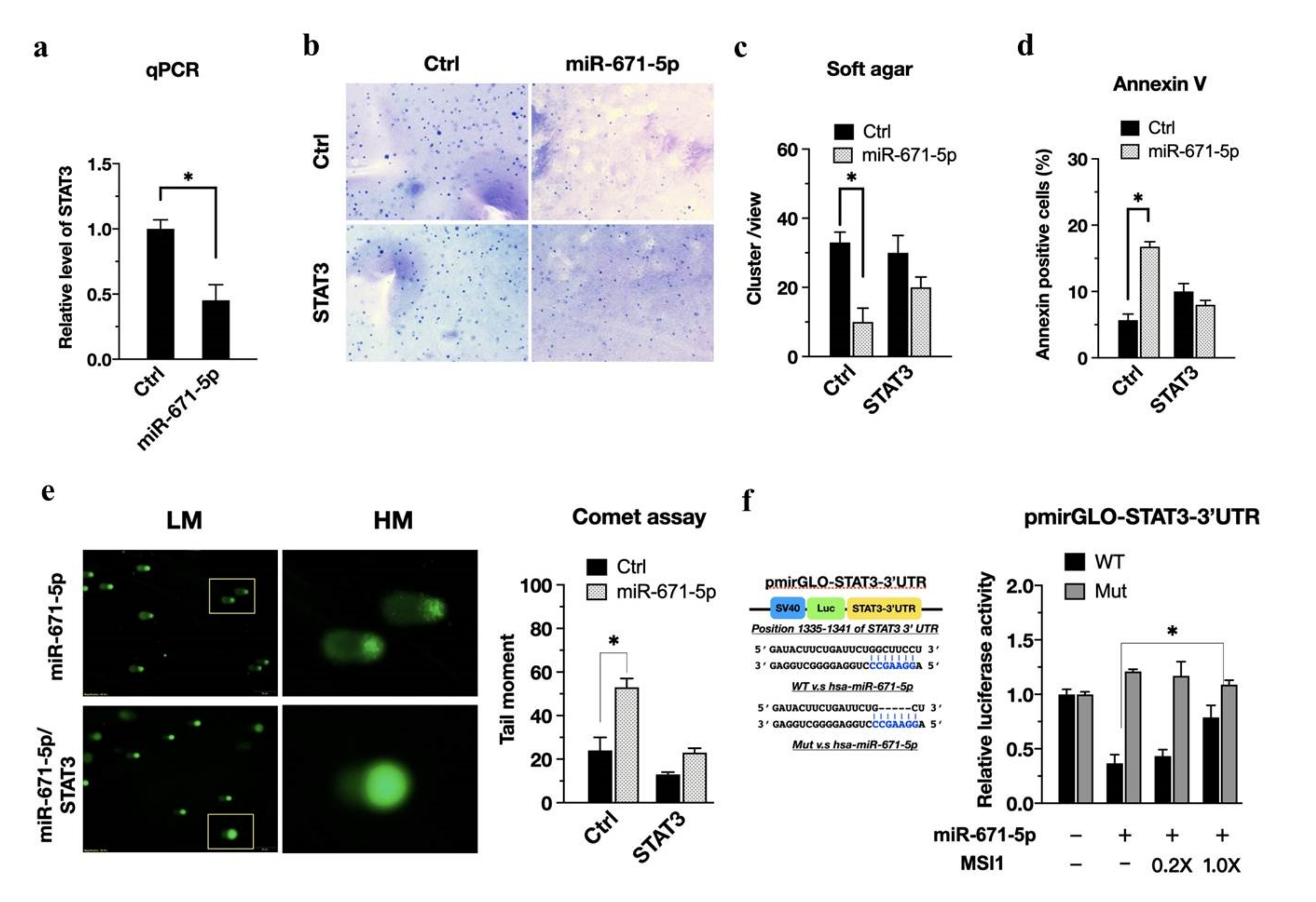 Biomedicines 10 00021 g003 550