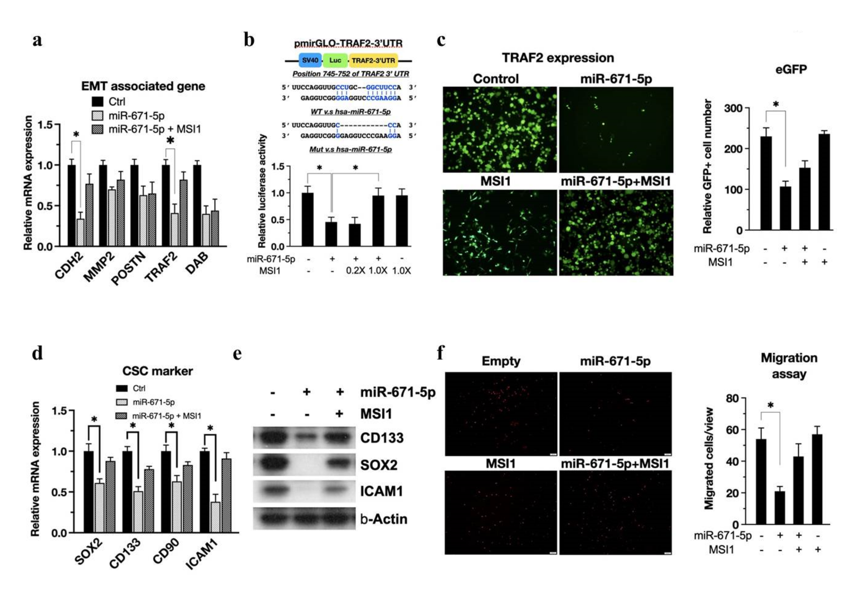 Biomedicines 10 00021 g004 550