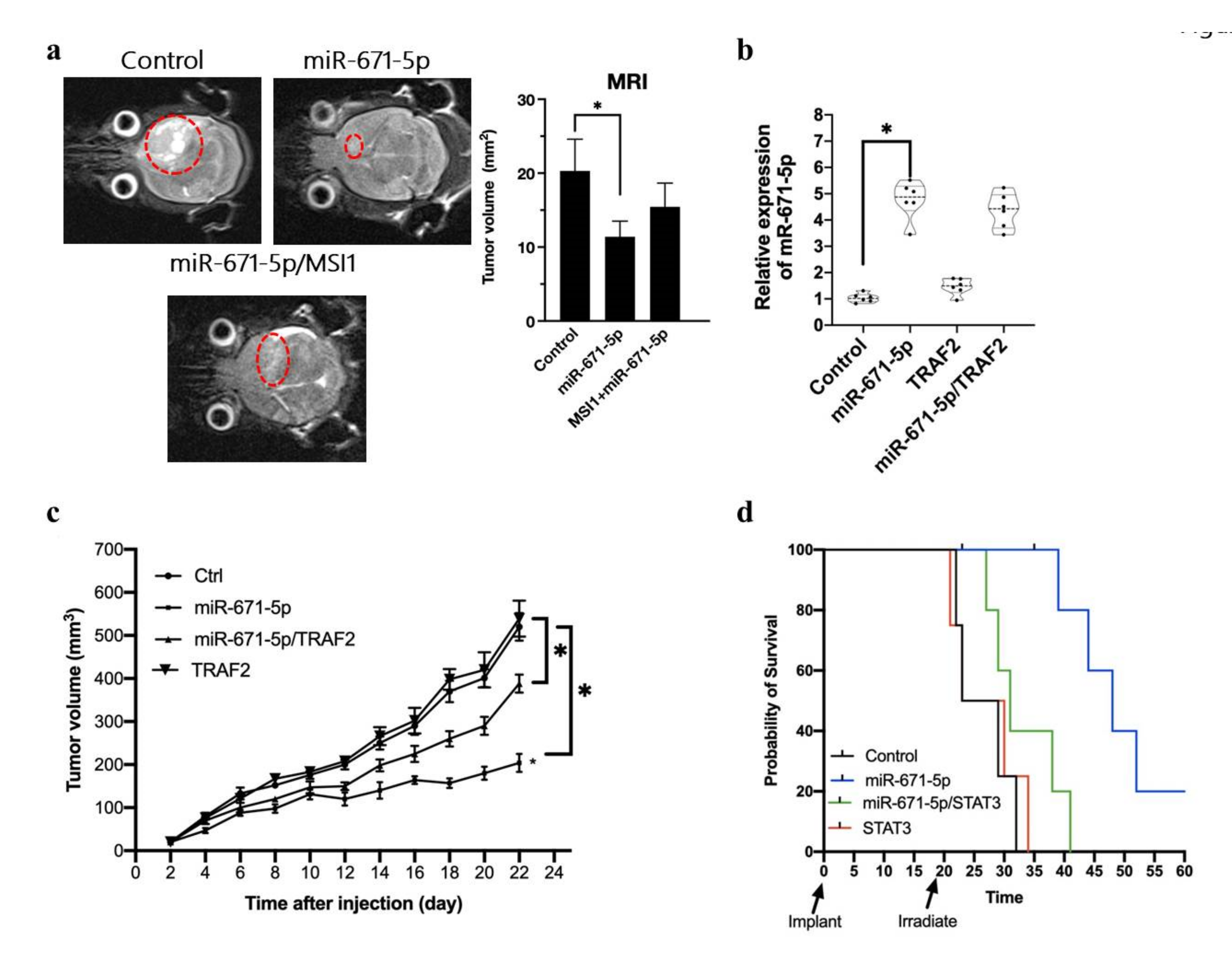 Biomedicines 10 00021 g005 550