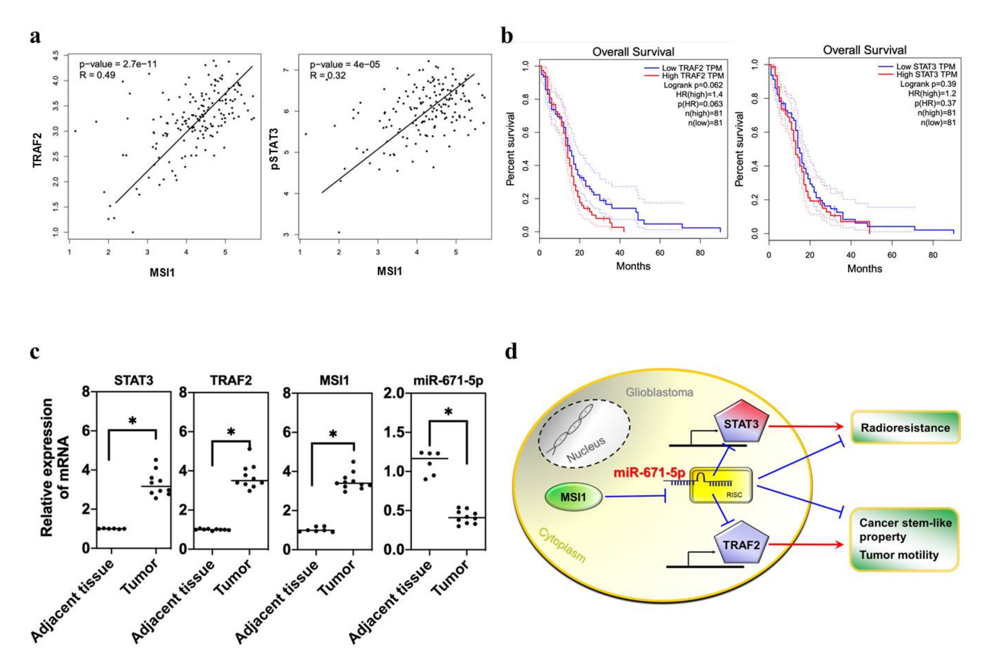 Biomedicines 10 00021 g006 550