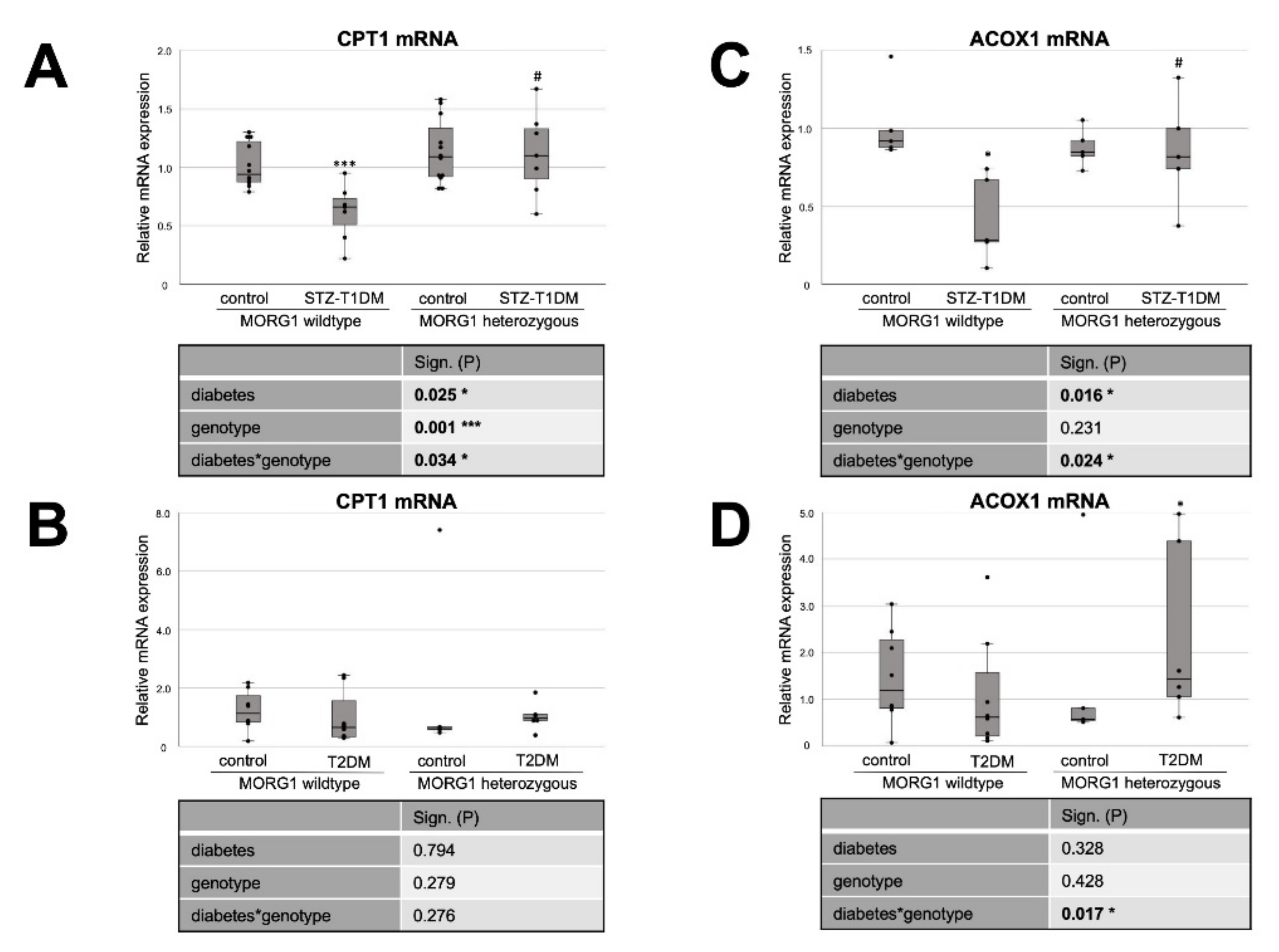 Biomedicines 10 00030 g005
