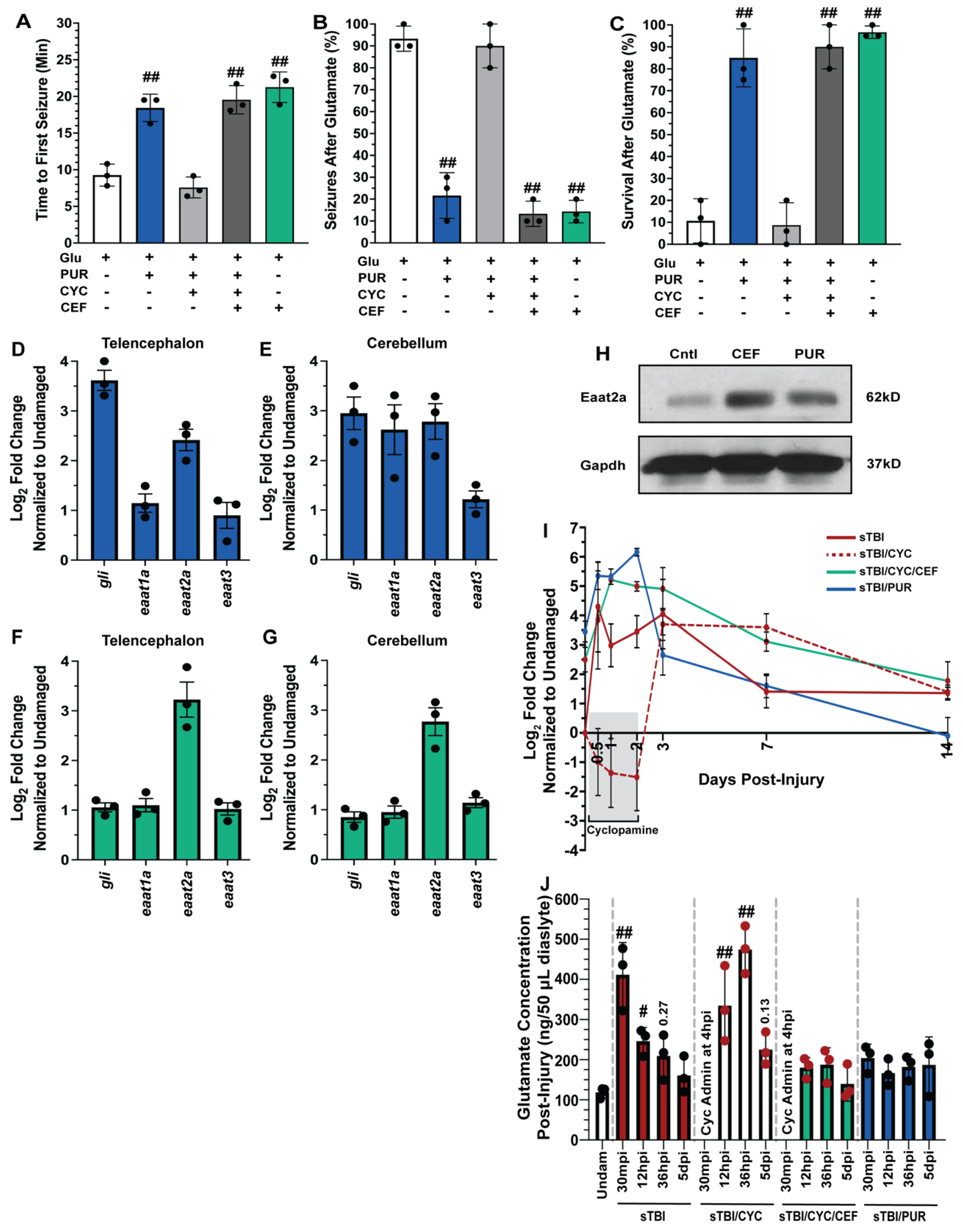 Biomedicines 10 00032 g004