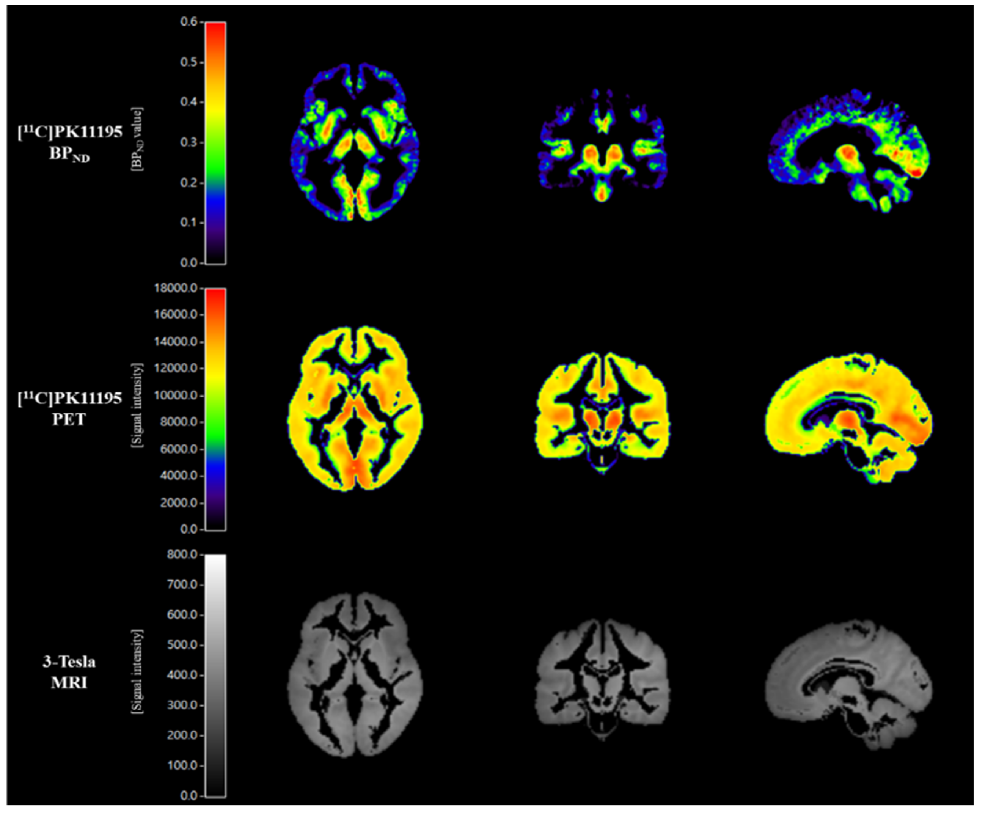 Biomedicines 10 00034 g001 550