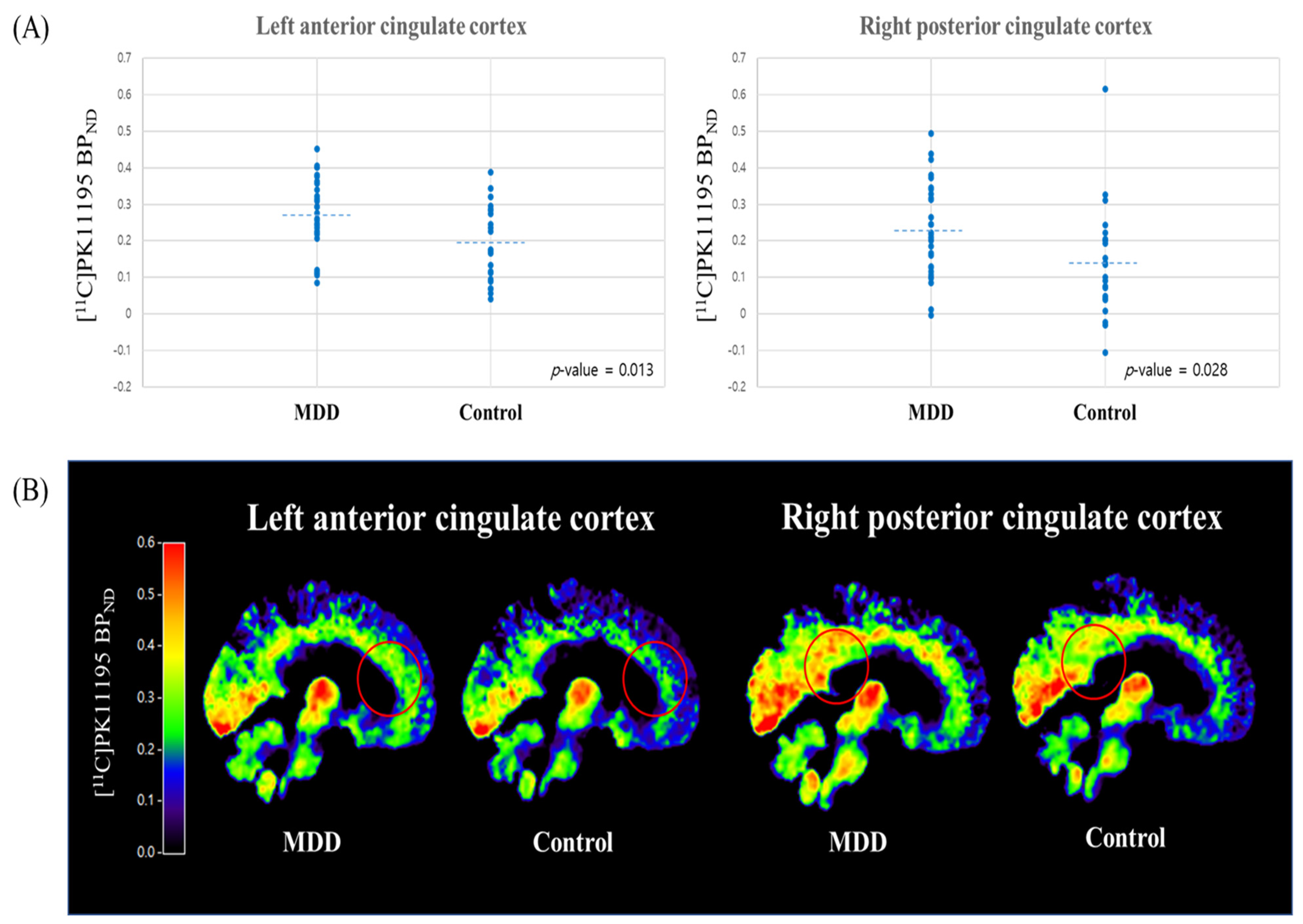 Biomedicines 10 00034 g002 550
