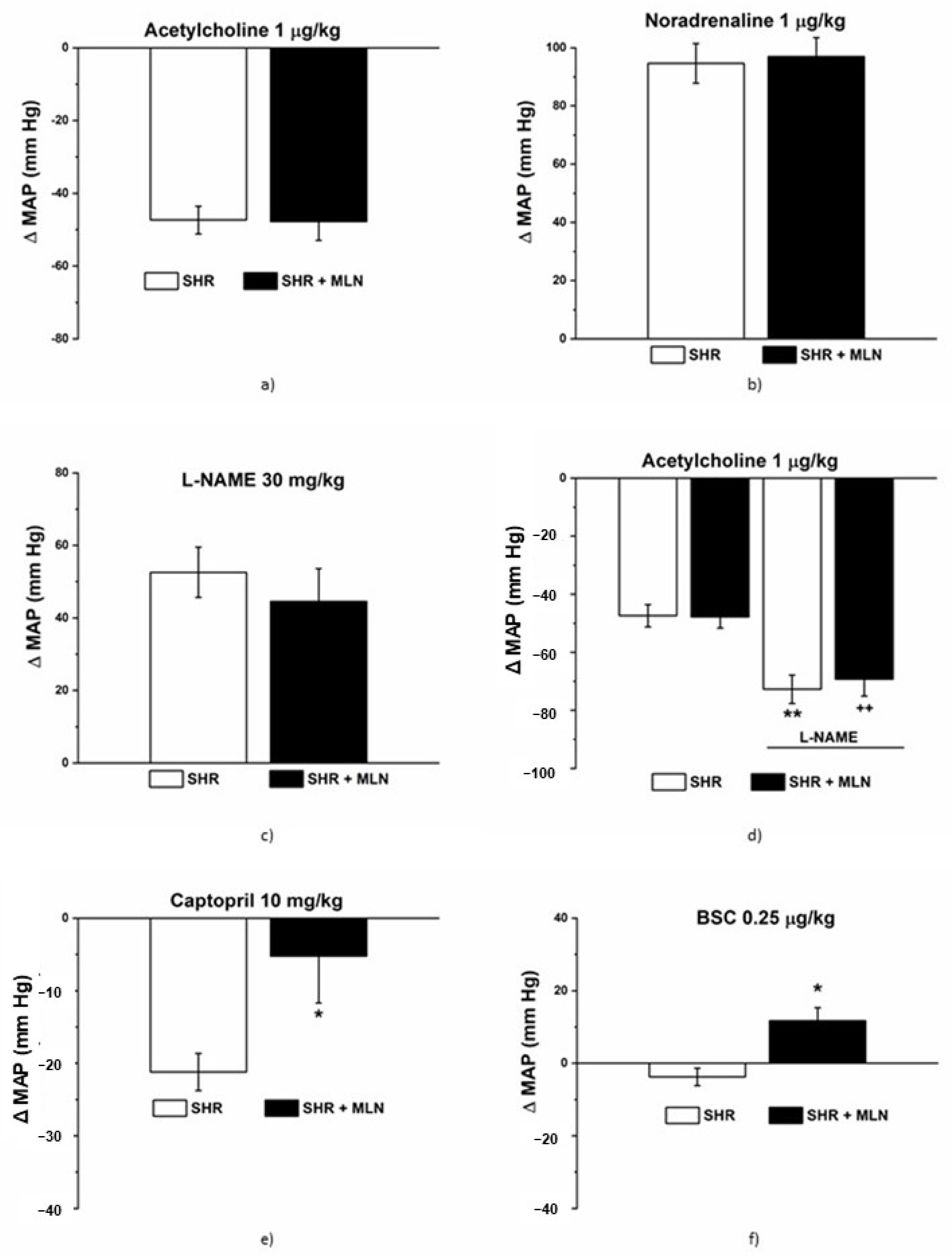 Biomedicines 10 00038 g003