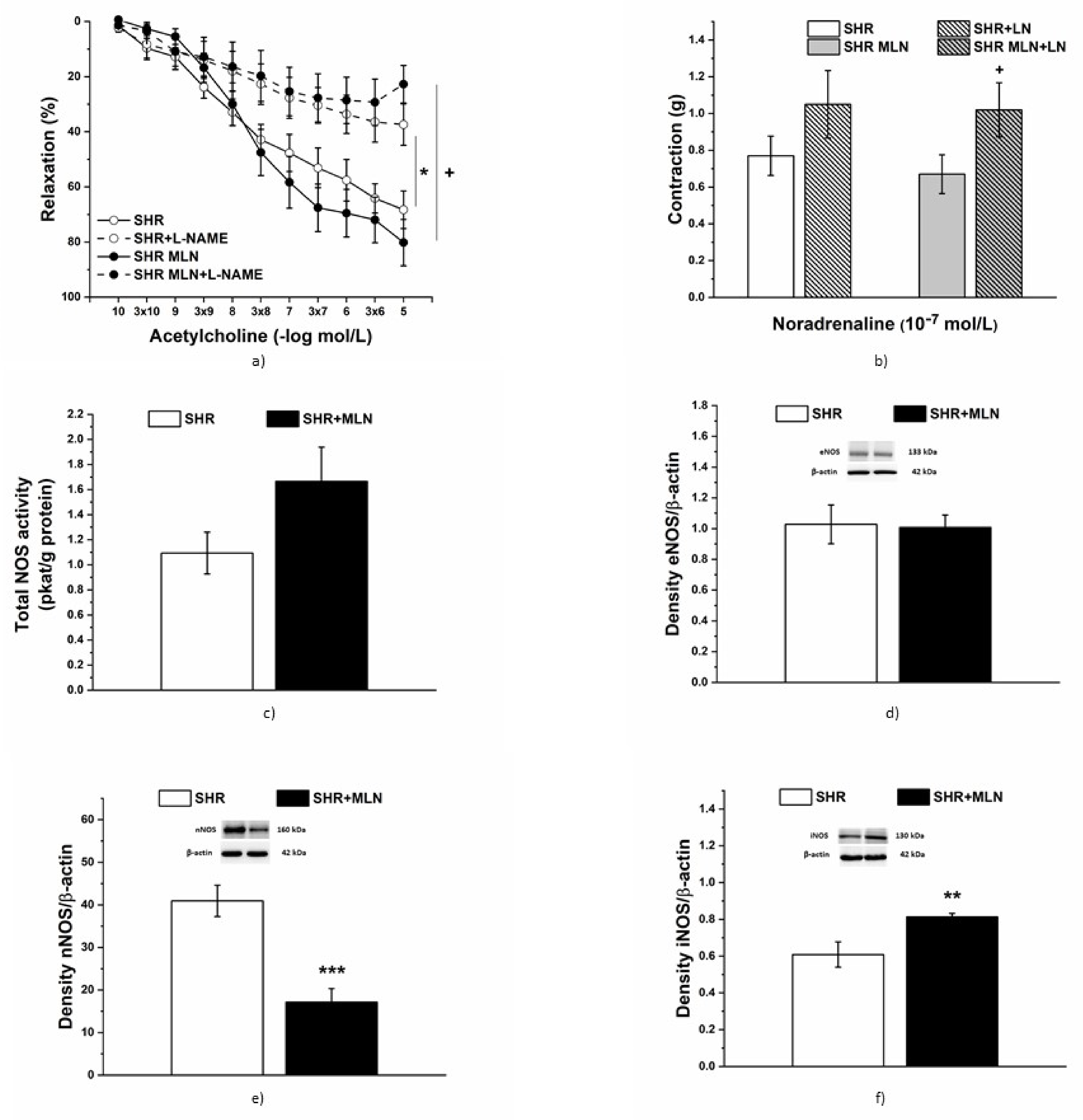 Biomedicines 10 00038 g006