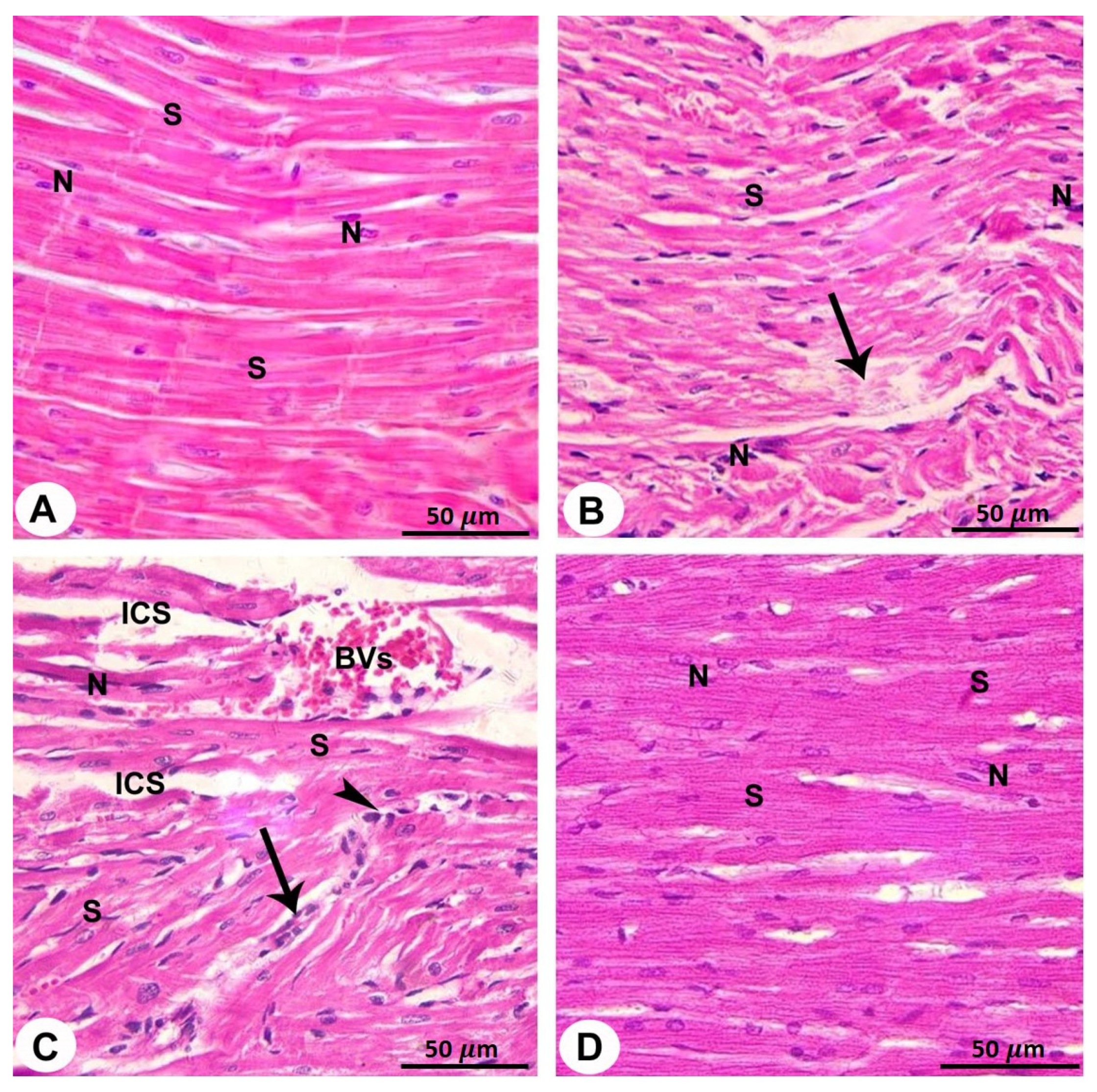 Biomedicines 10 00039 g003 Biomedicines 10 00039 g003